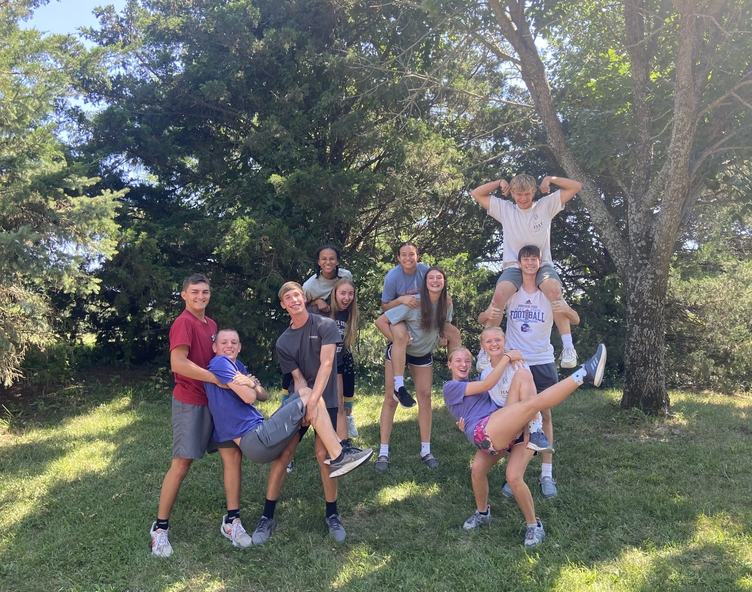 A group of young people forming a human pyramid under a large tree in a park with green grass and blue sky.