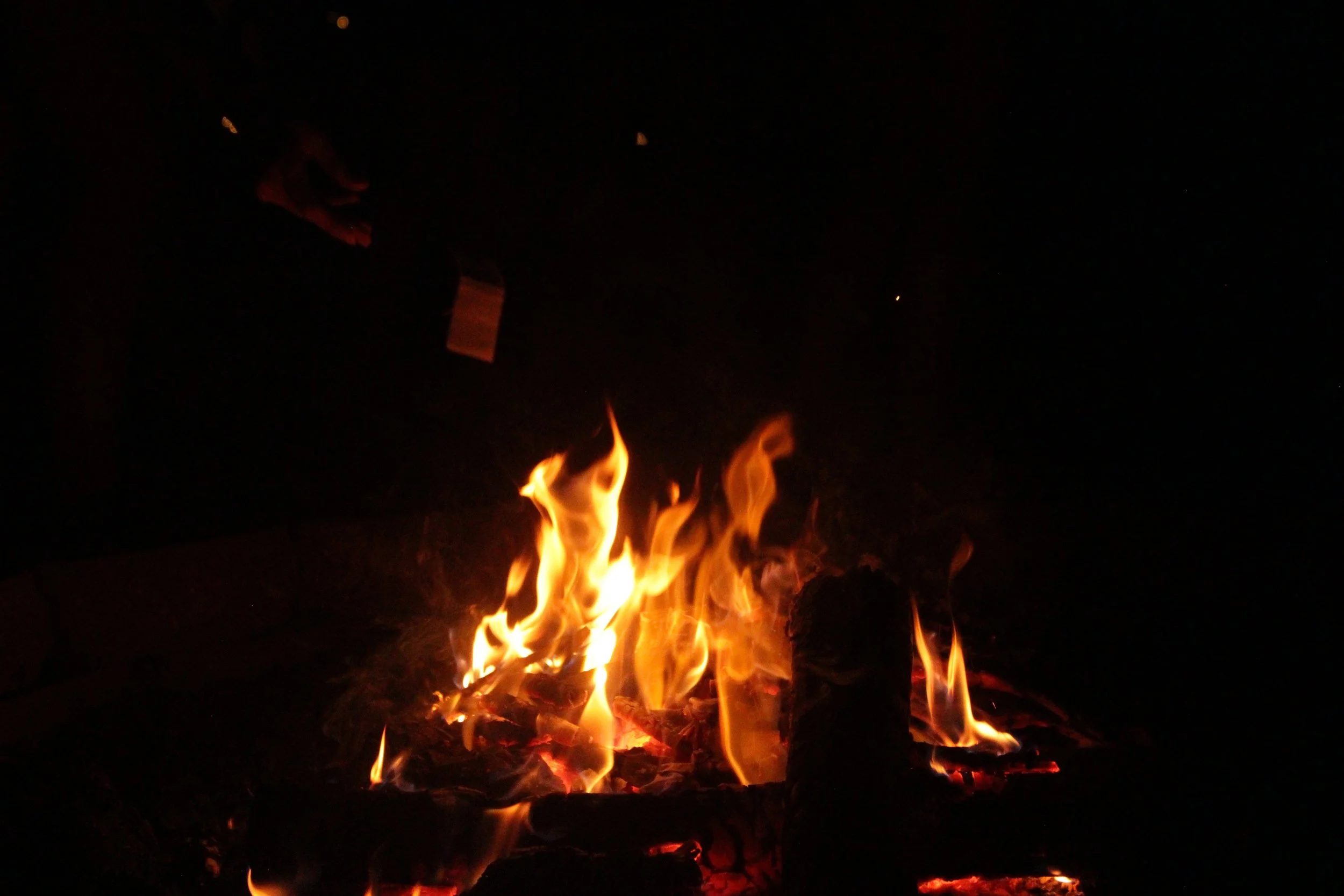 A campfire with flames burning against a dark night background.