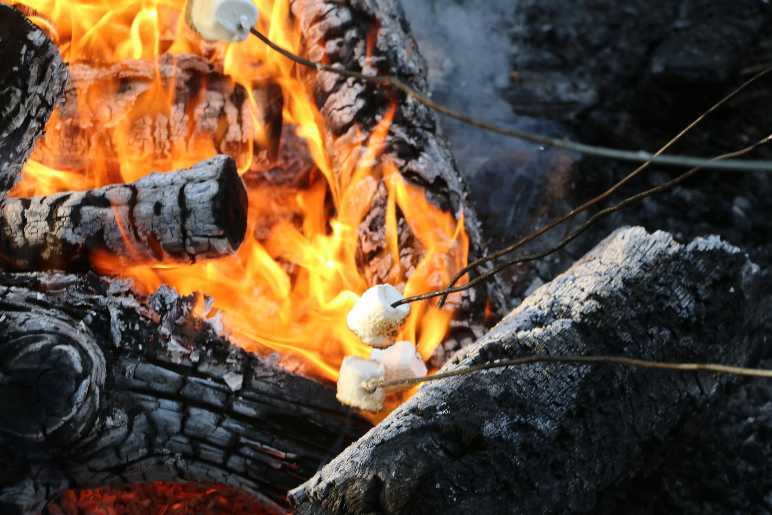 Bonfire, closeup with marshmallows.JPG