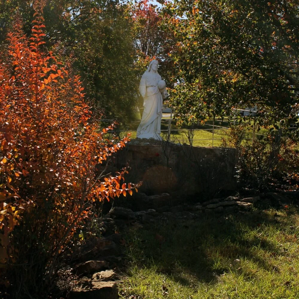 IMG_5116.JPG