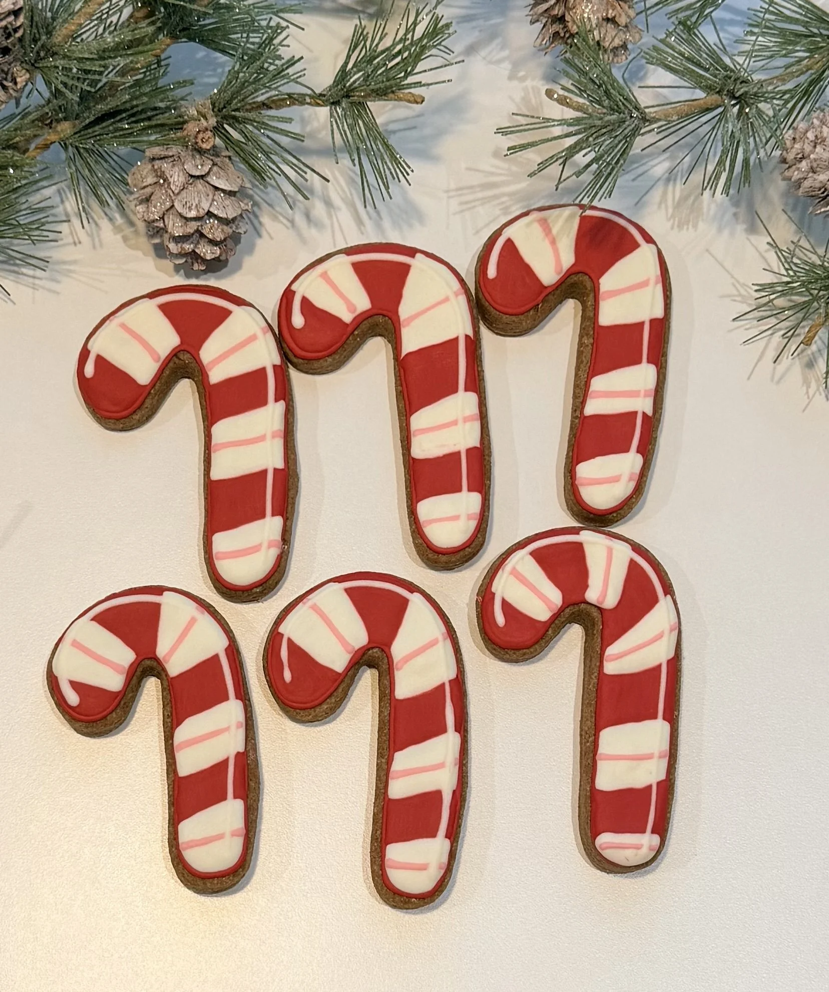 Canine Candy Canes