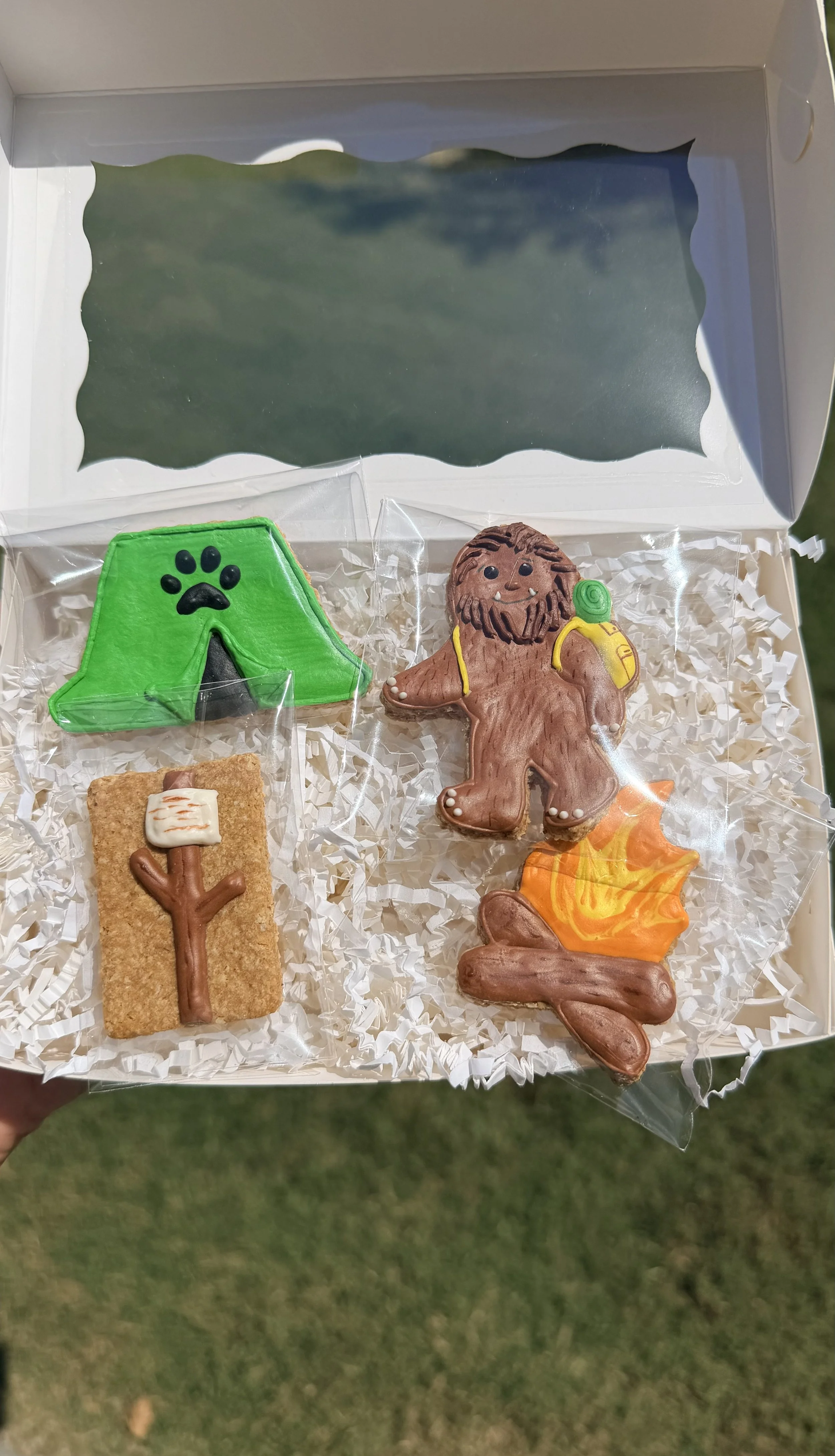 Camping Cookie Set.jpeg