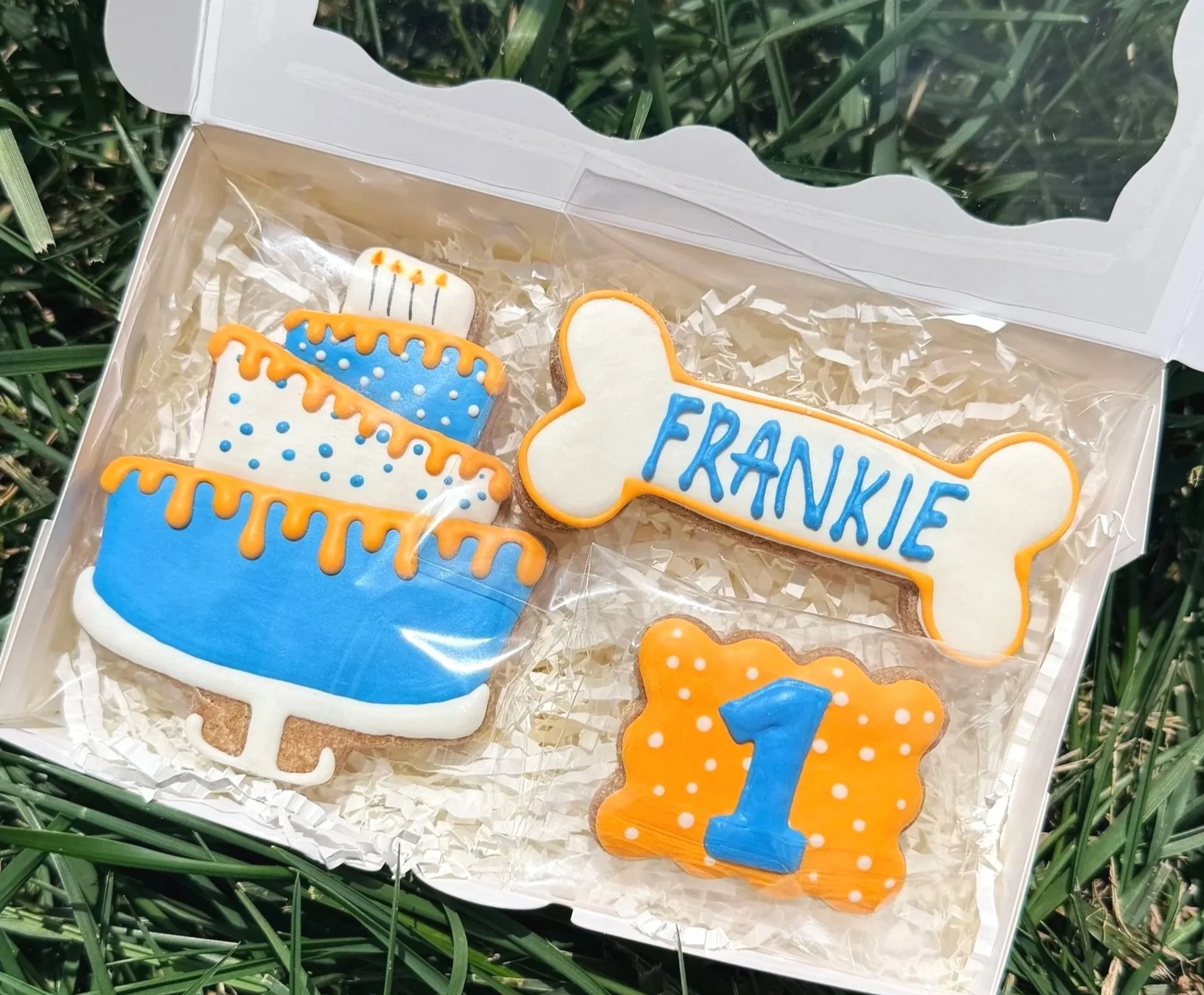BirthdaySet7.jpg (Copy)