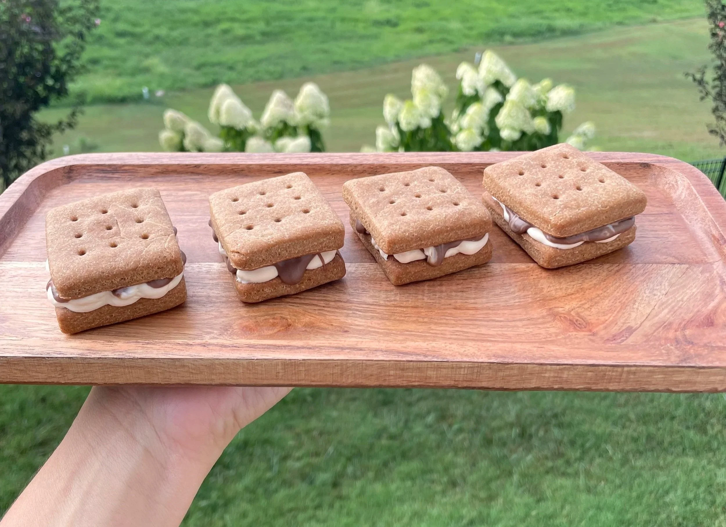 Peanut Butter S'mores Dog Treat