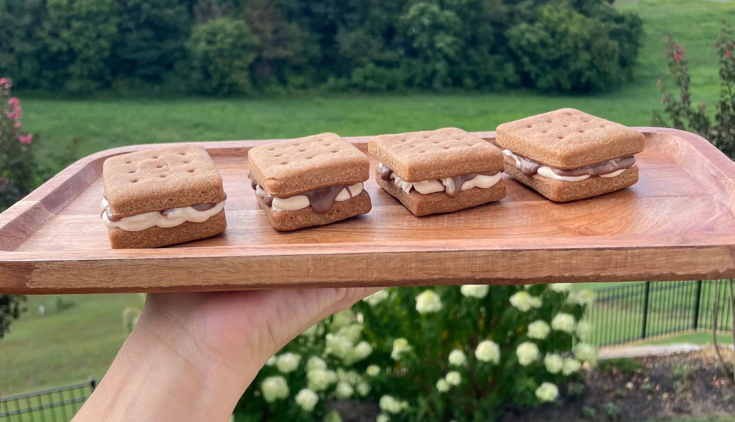 Smores1.jpg