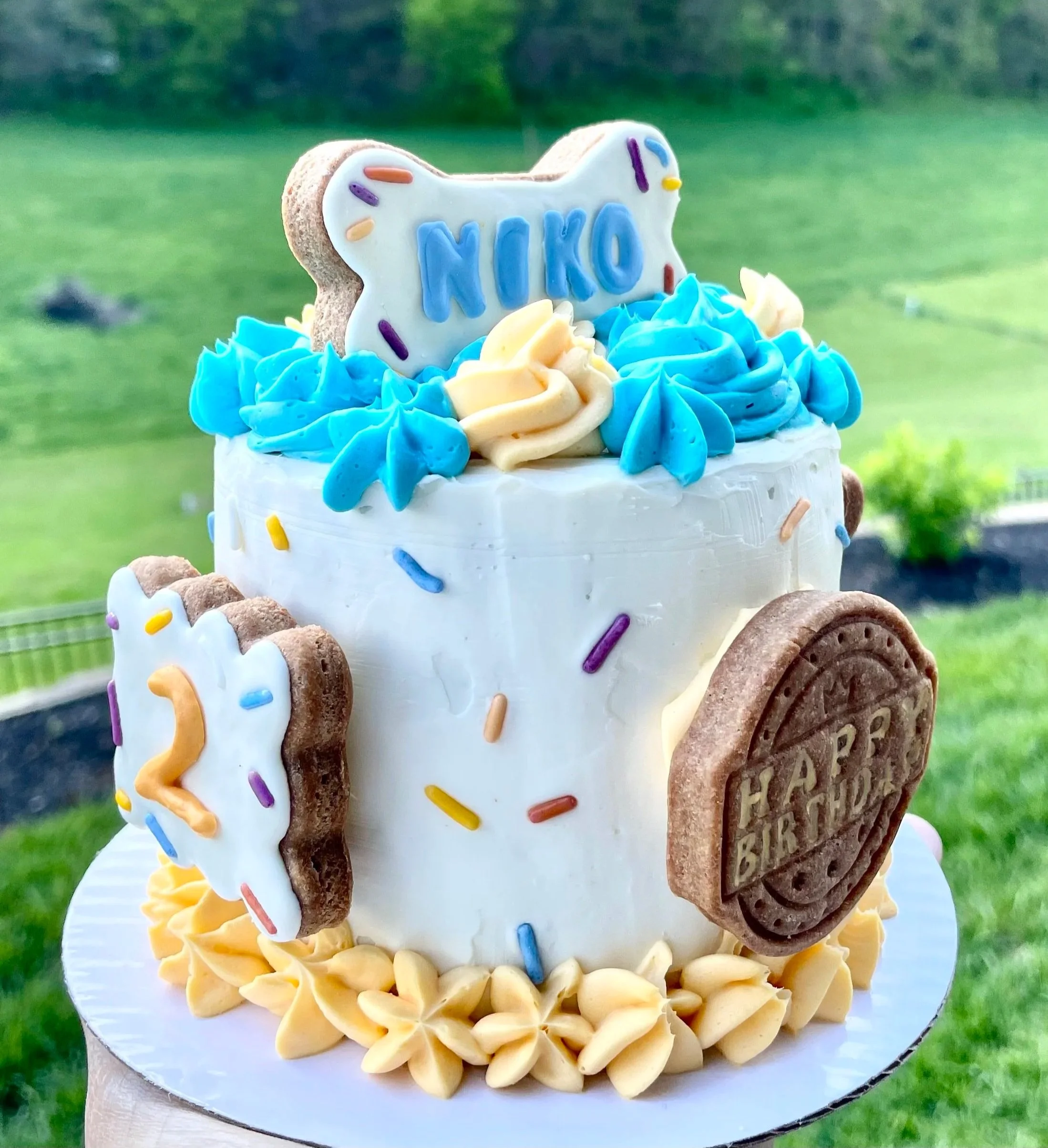 NikoCake1.jpg