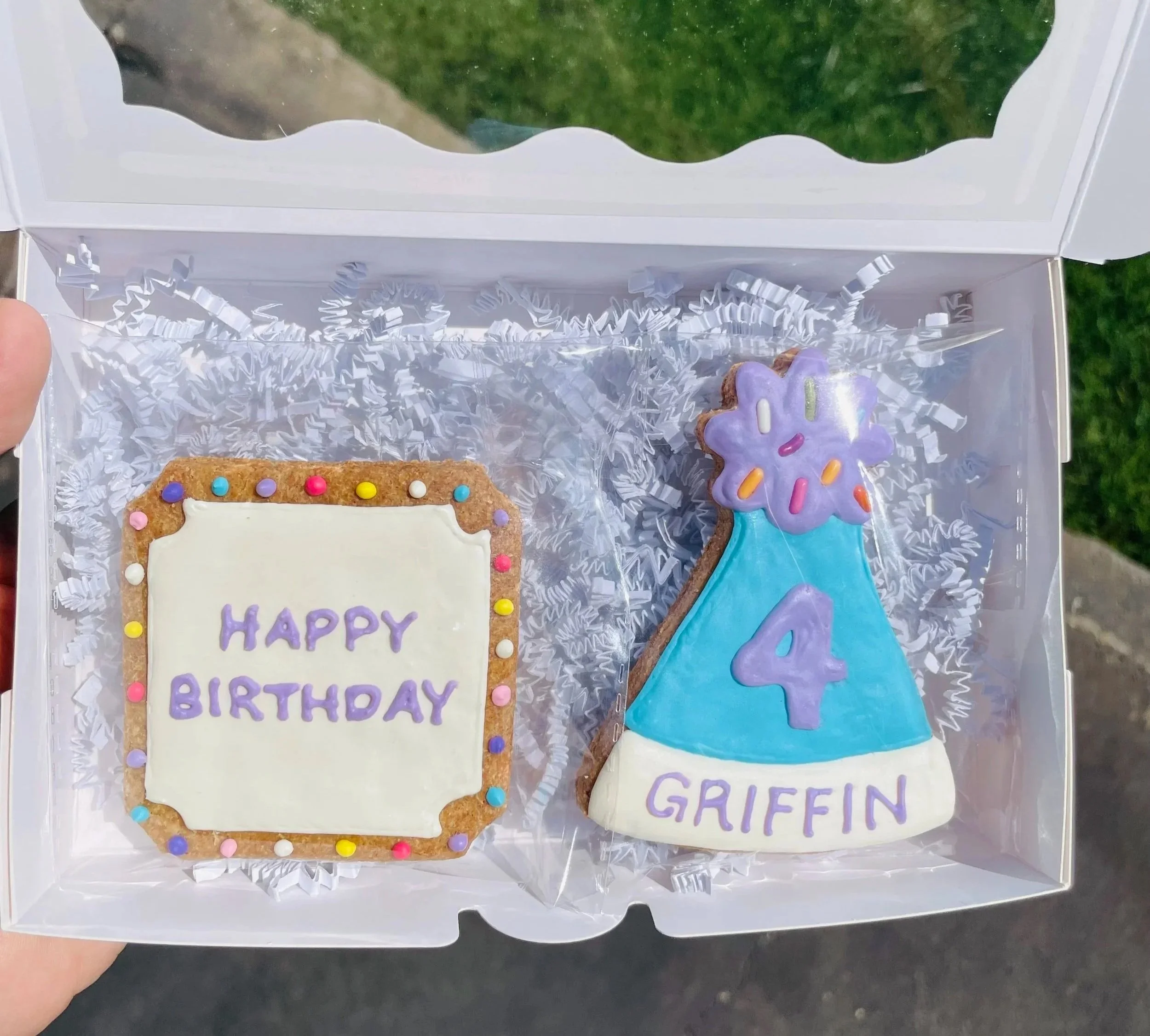Happy Birthday Cookie Set 2