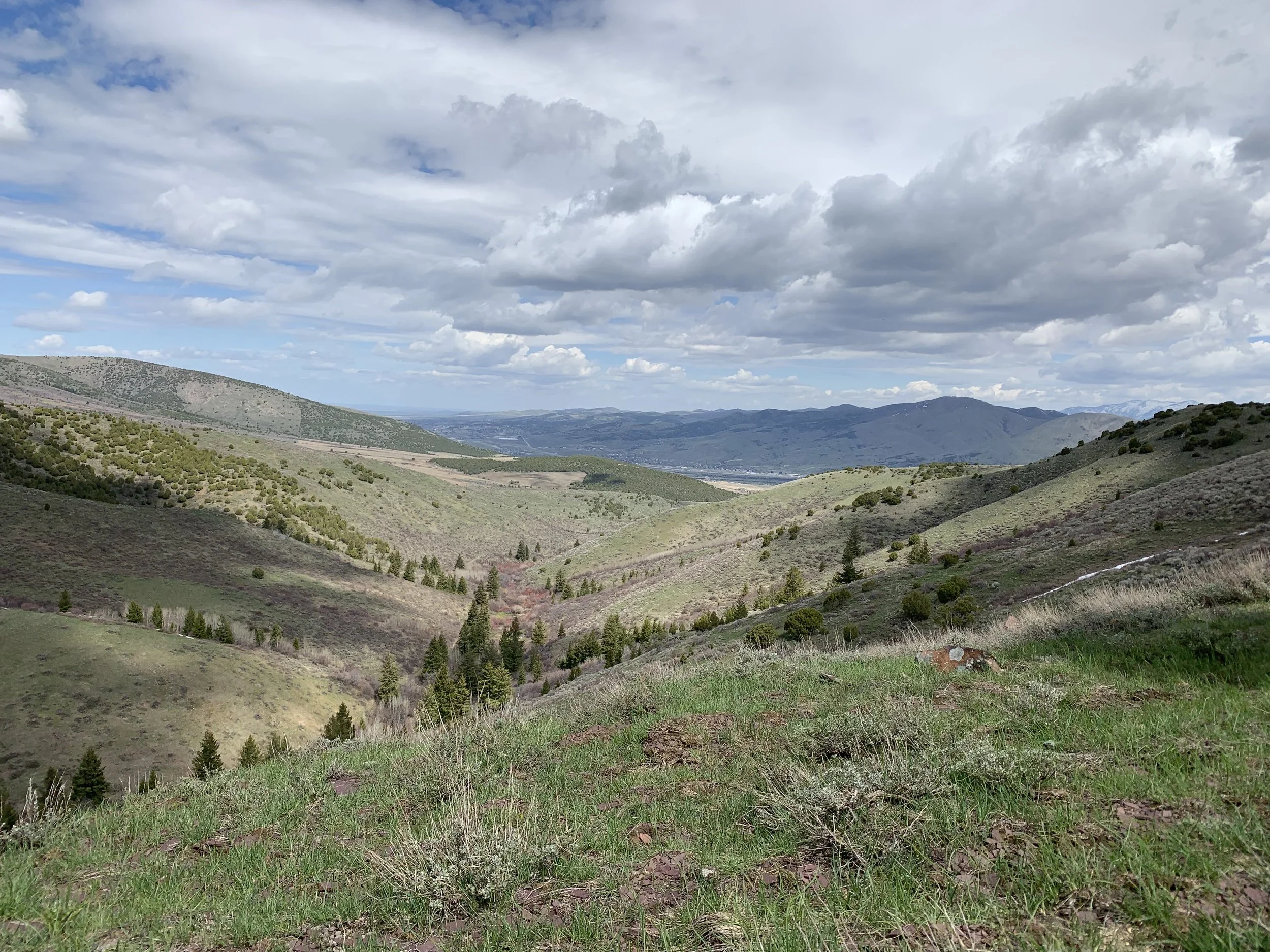 A scenic view of rolling green hills under a partly cloudy sky with patches of blue, distant mountains in the background, and a field with grass and small trees in the foreground.