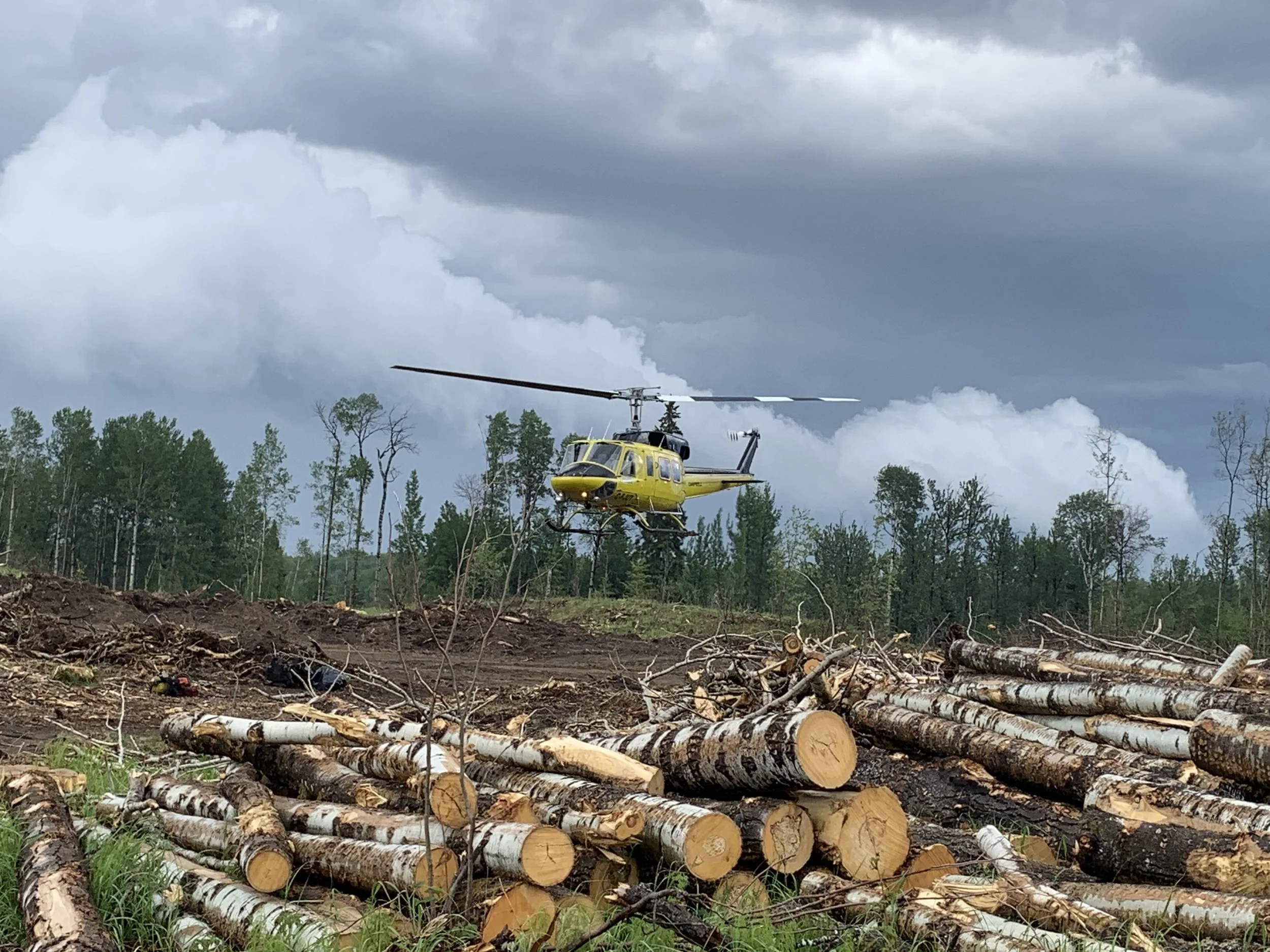 A yellow helicopter flying over a landscape with tree stumps and logs, with dark stormy clouds in the sky.