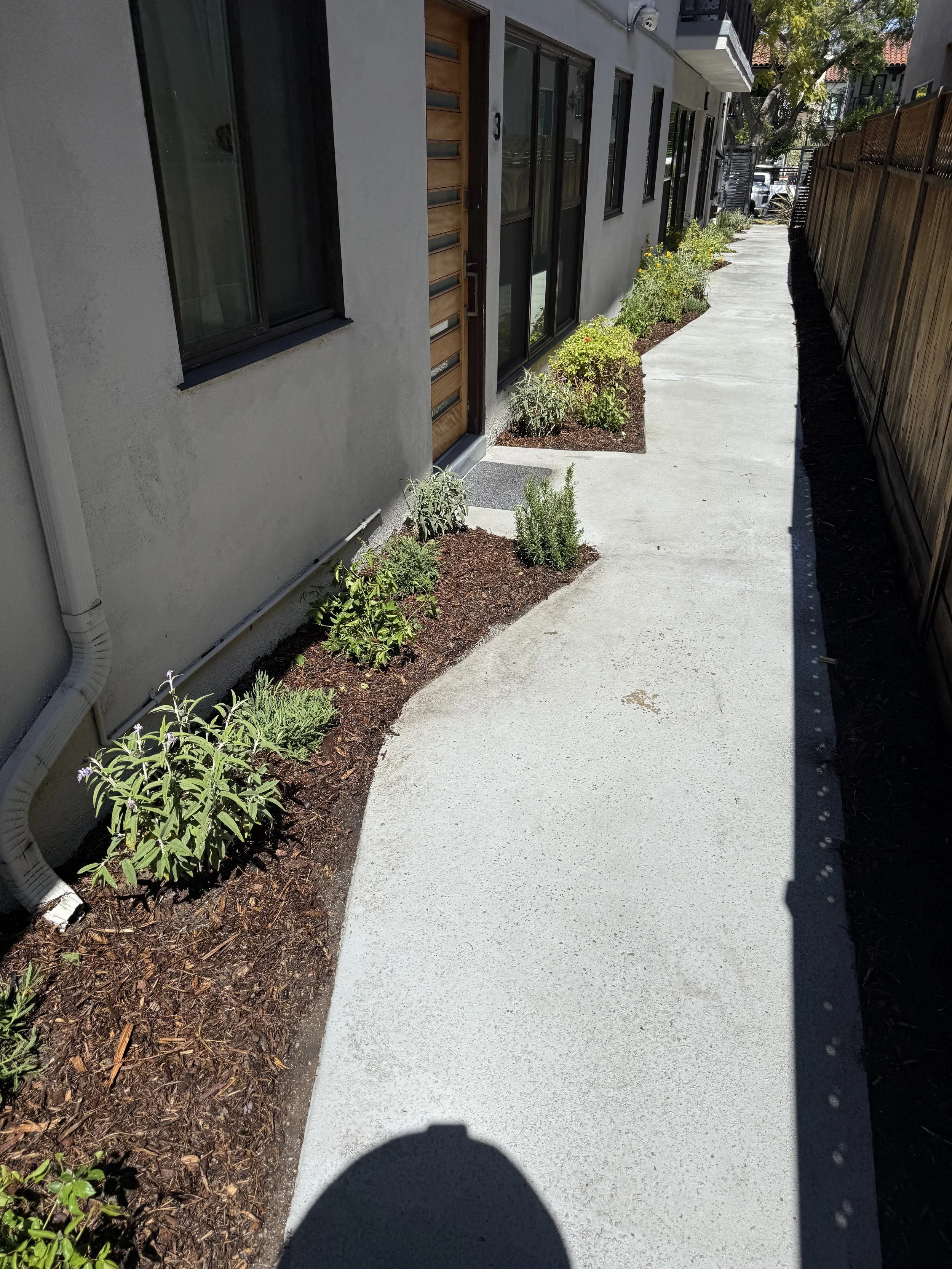 Plant + Mulch Install