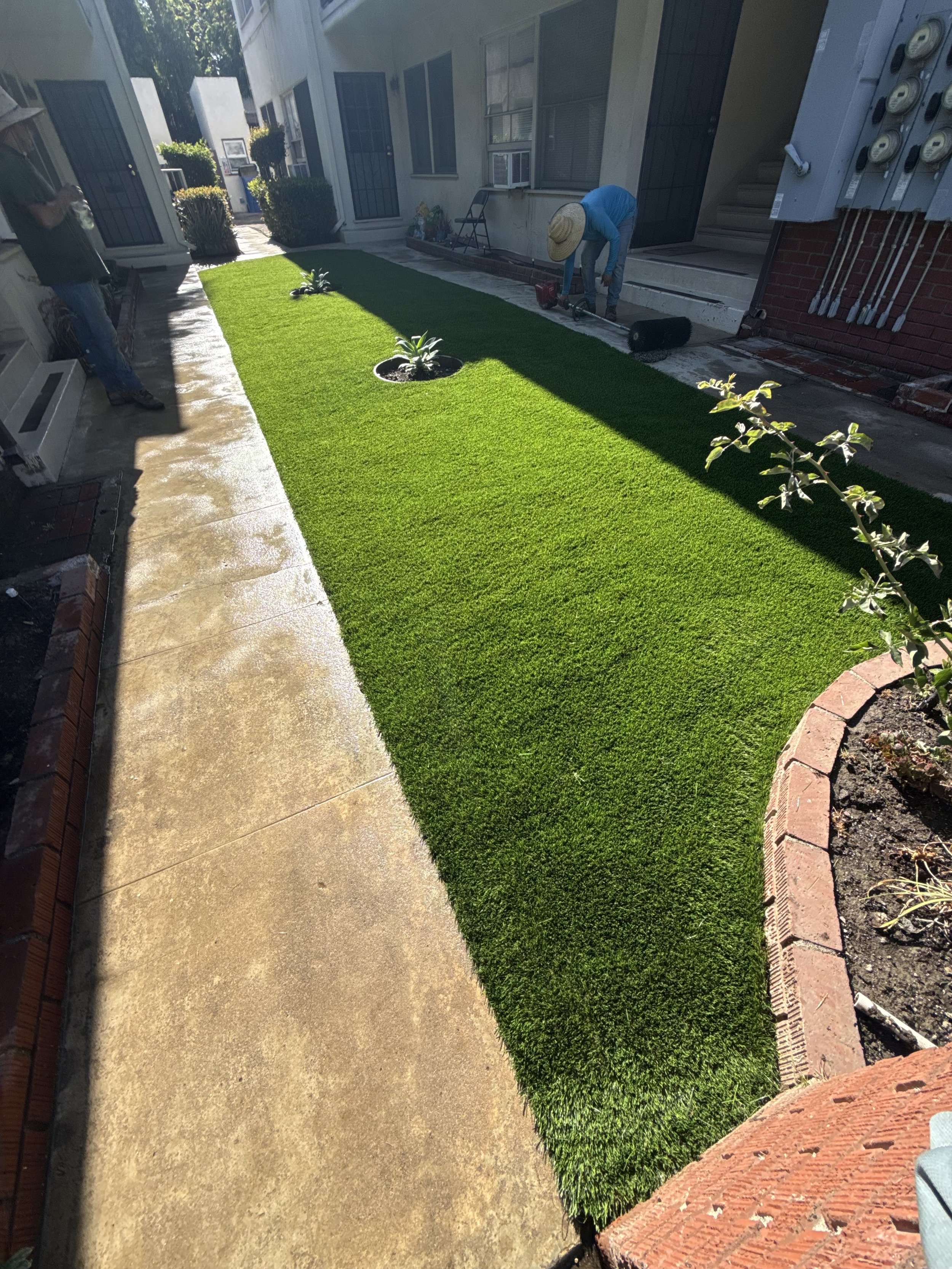 Turf with Circle Planter Install