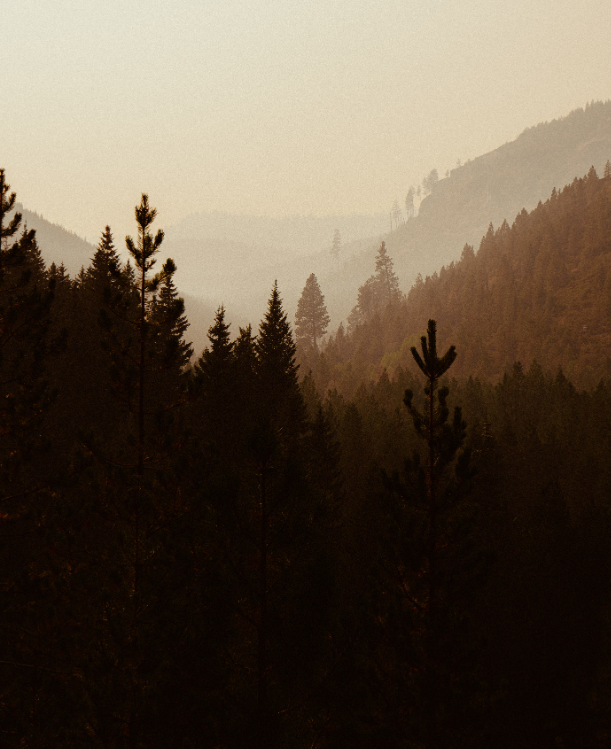 A forested mountain landscape with layers of trees and mountains fading into the distance under a hazy sky.
