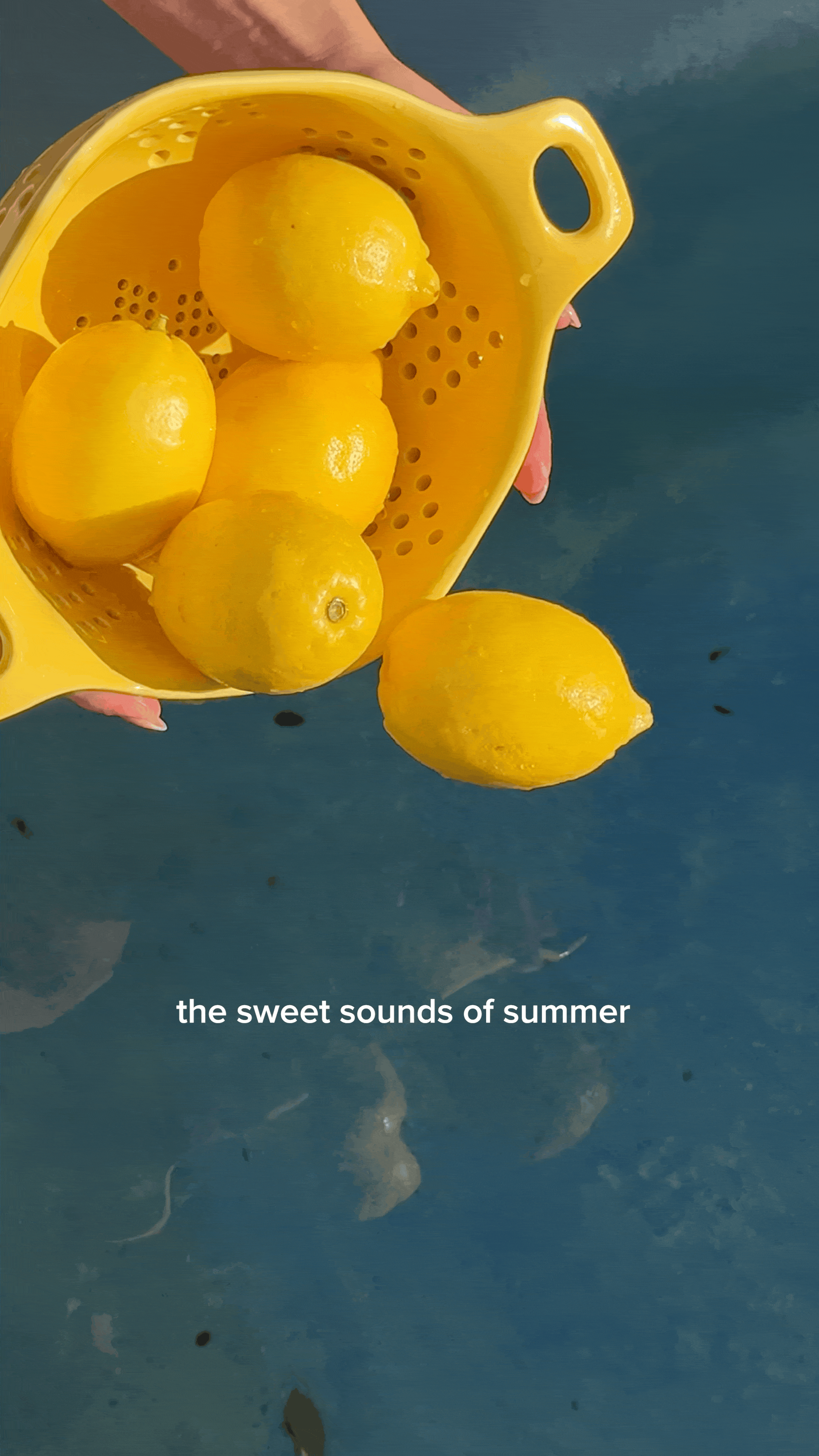 TROPICANA | art direction & content creation