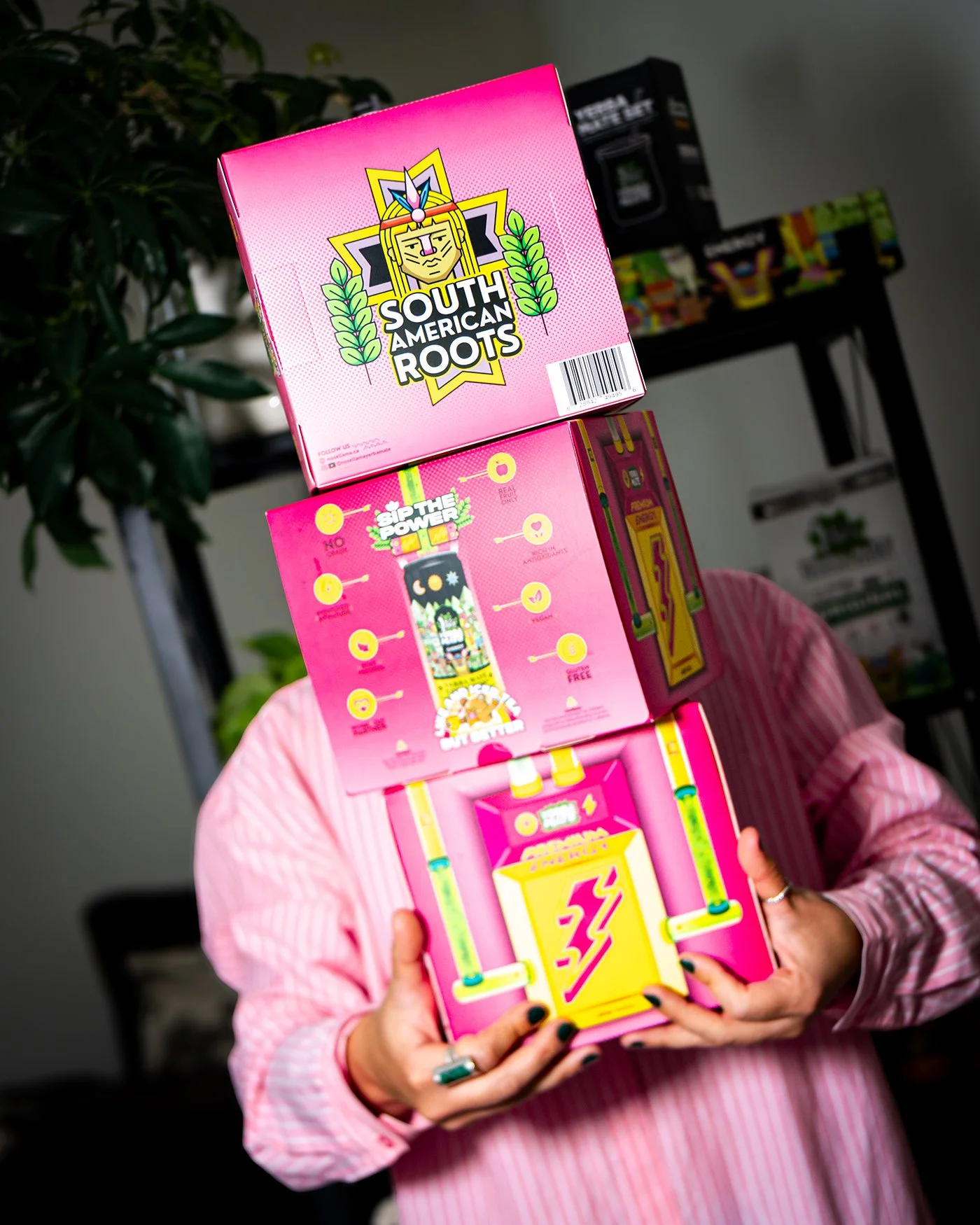 Person holding a pink box titled 'South American Roots' with cartoon lion and leafy design, background includes shelves with various colorful board games.