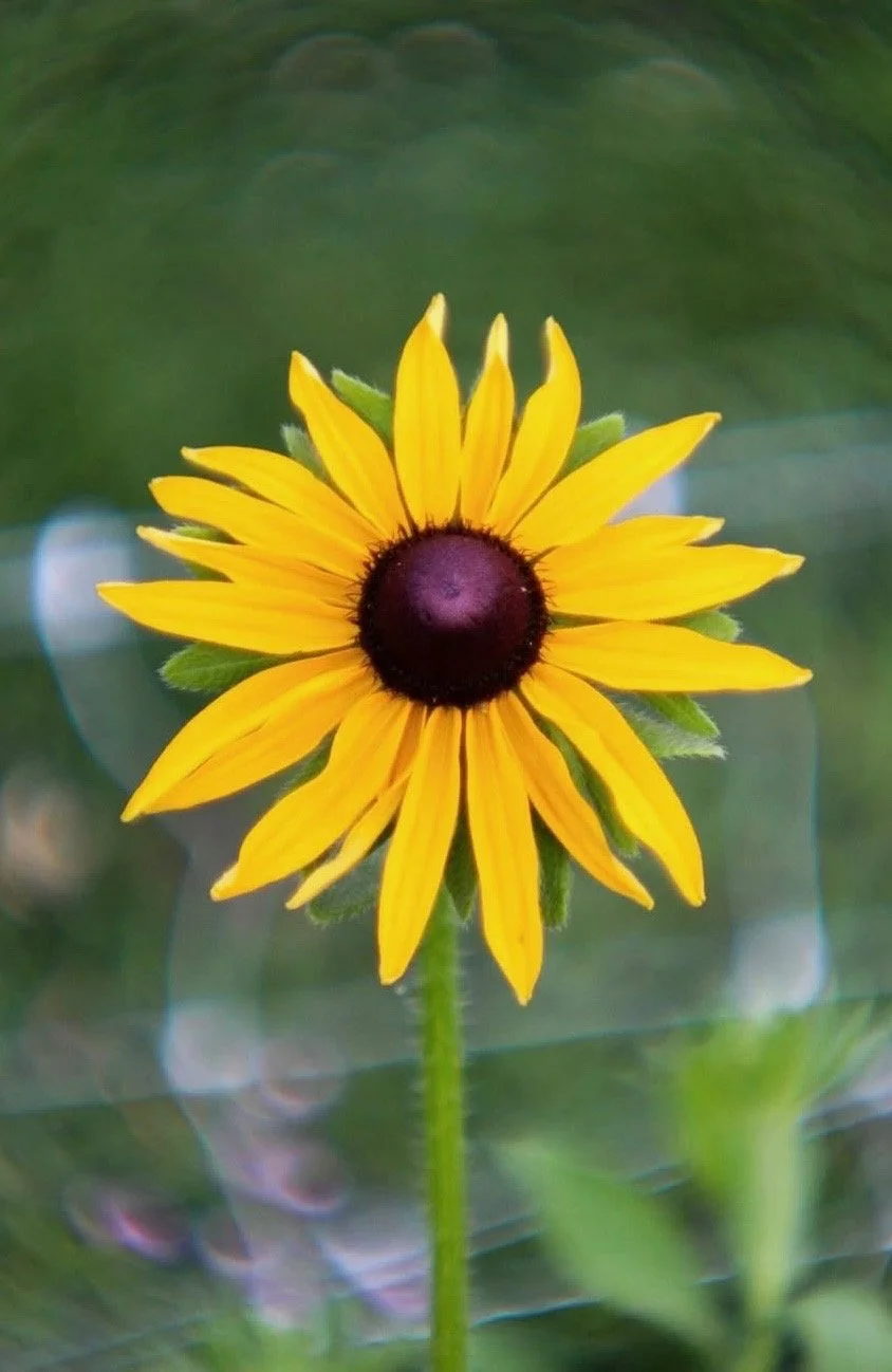 A640C639-F4E5-4E77-A41F-9D829E0F1AD3.jpeg