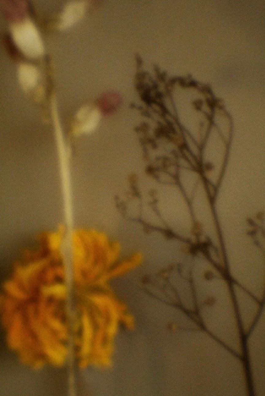 9E0B51BE-821E-4EF0-8B4A-1ED83F79DC1F.jpeg