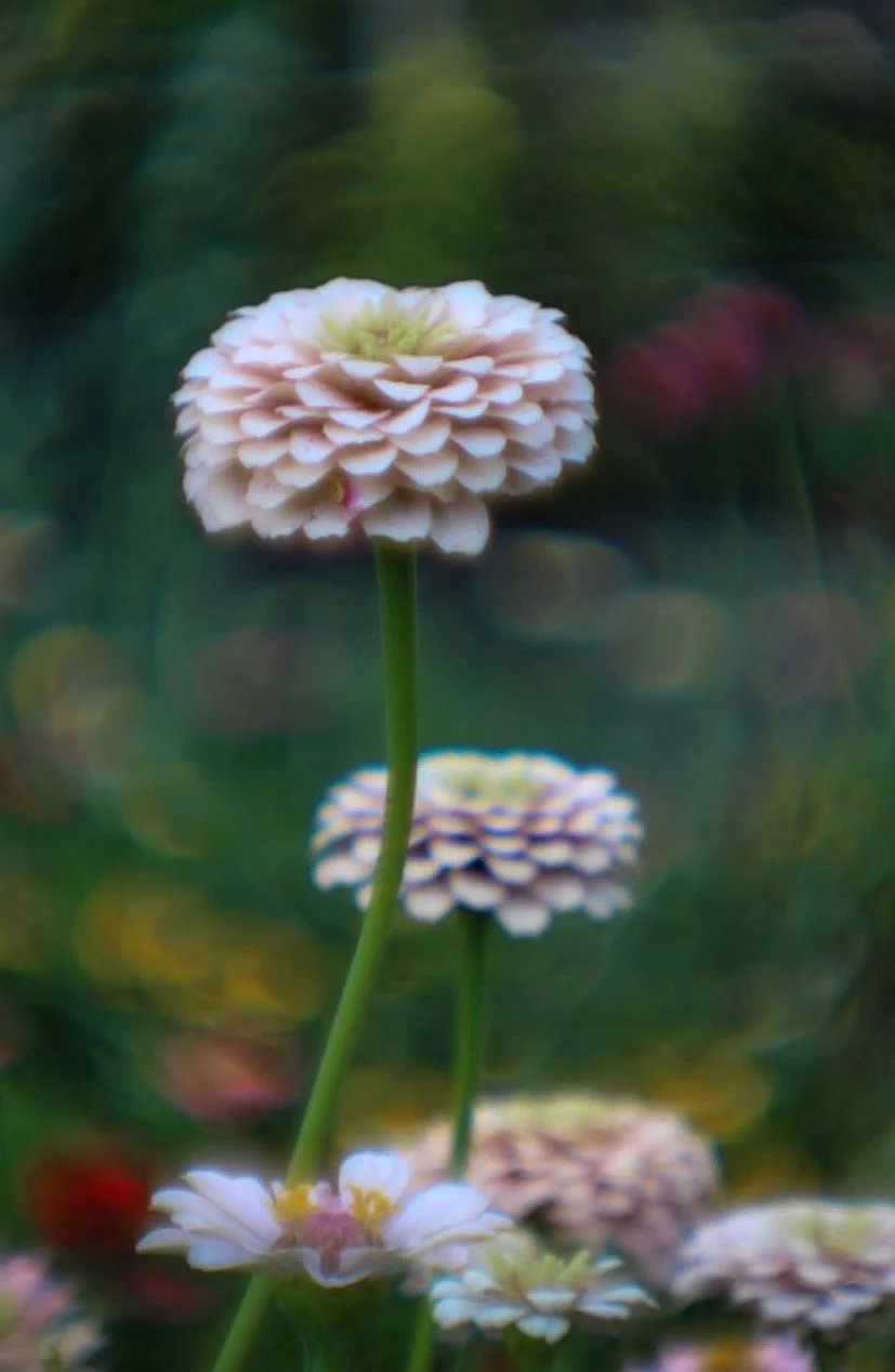 1EF99E33-AAB6-4266-B365-8CF6696CF024.jpeg