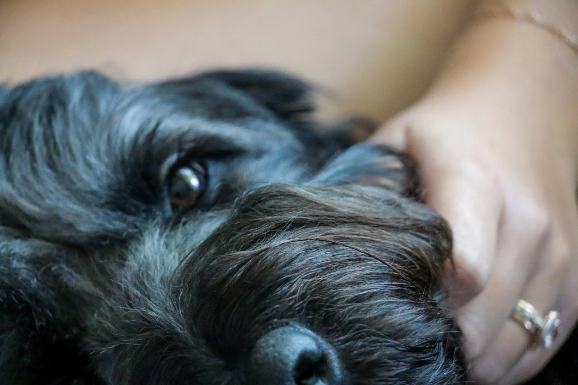 2526DF11-AB10-4CCF-AB30-071DC5521F85.jpeg