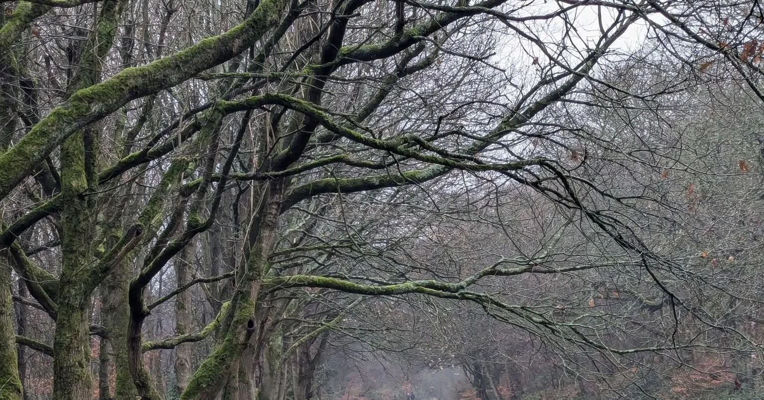 Girl of the woods.