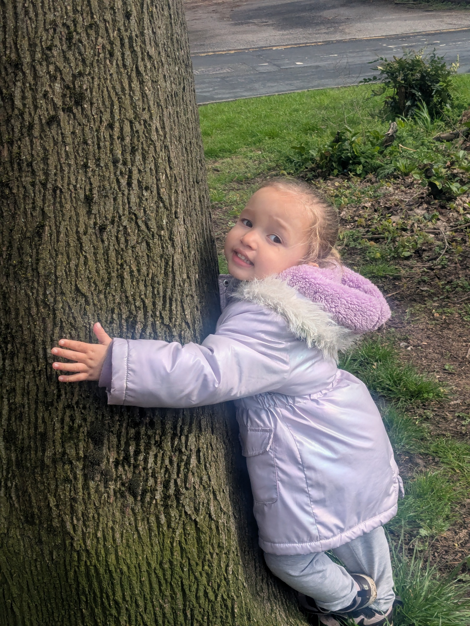 A young girl hugging a large tree trunk outdoors with grass, plants, and a street in the background.