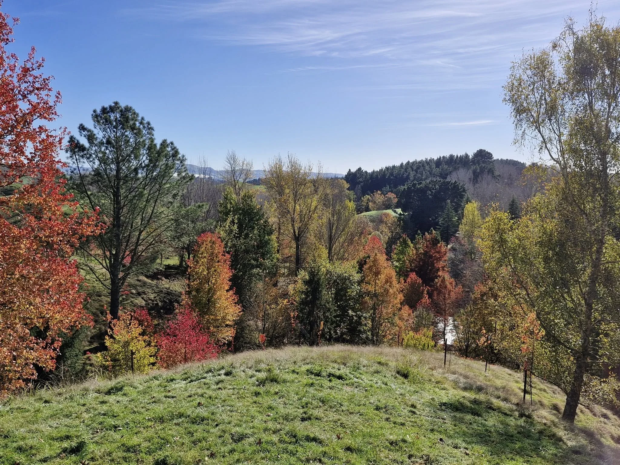 Scenic view of a hillside landscape with colorful autumn trees, green grass, and distant mountains under a partly cloudy sky.
