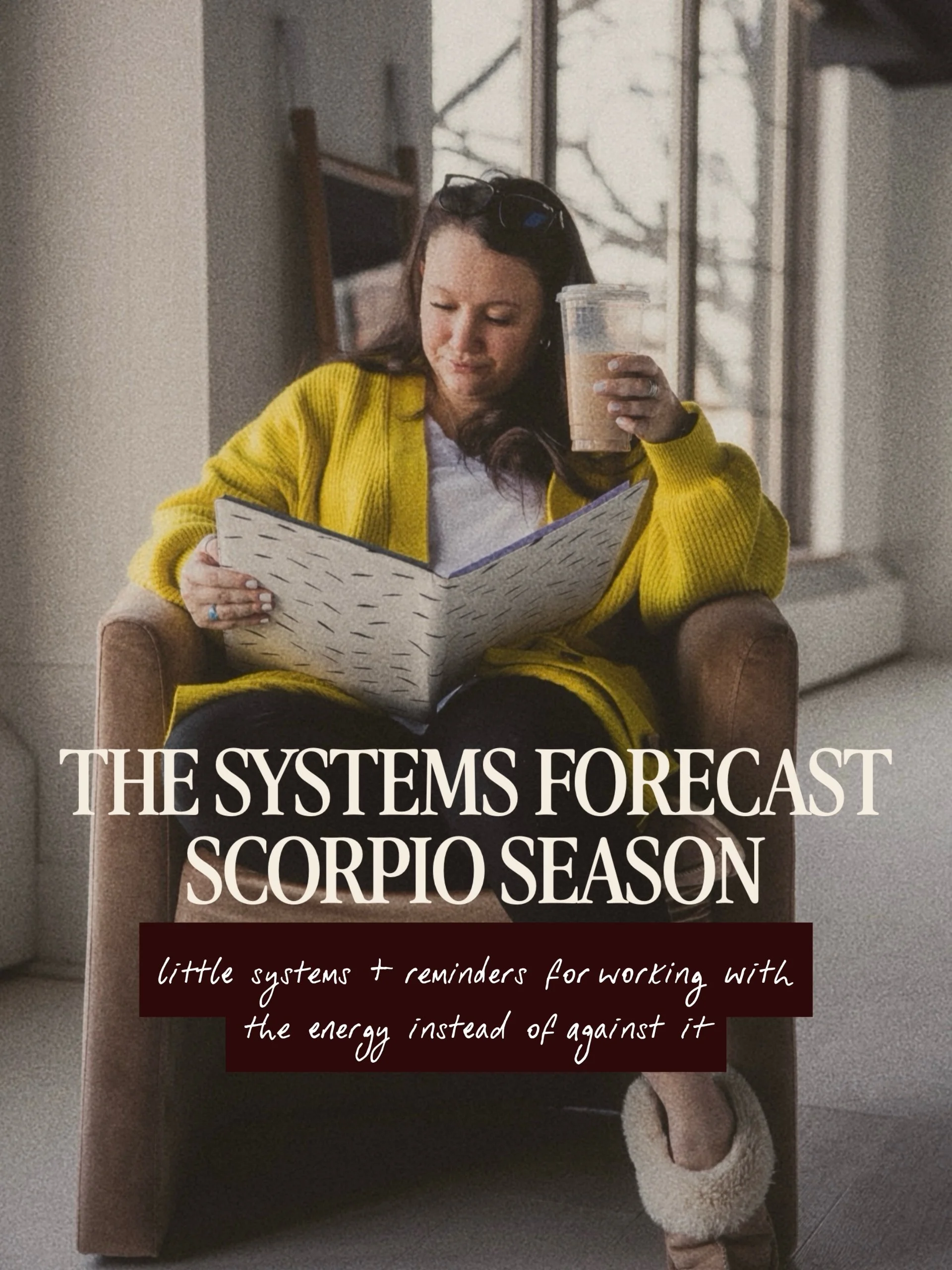 happy scorpio season to everyone who has ever told me...

&ldquo;we just need a better SOP&rdquo;
&ldquo;my team needs to be more proactive&rdquo;
&ldquo;I think I need another VA&rdquo;
&ldquo;we need to automate this&rdquo;
&ldquo;maybe we should s