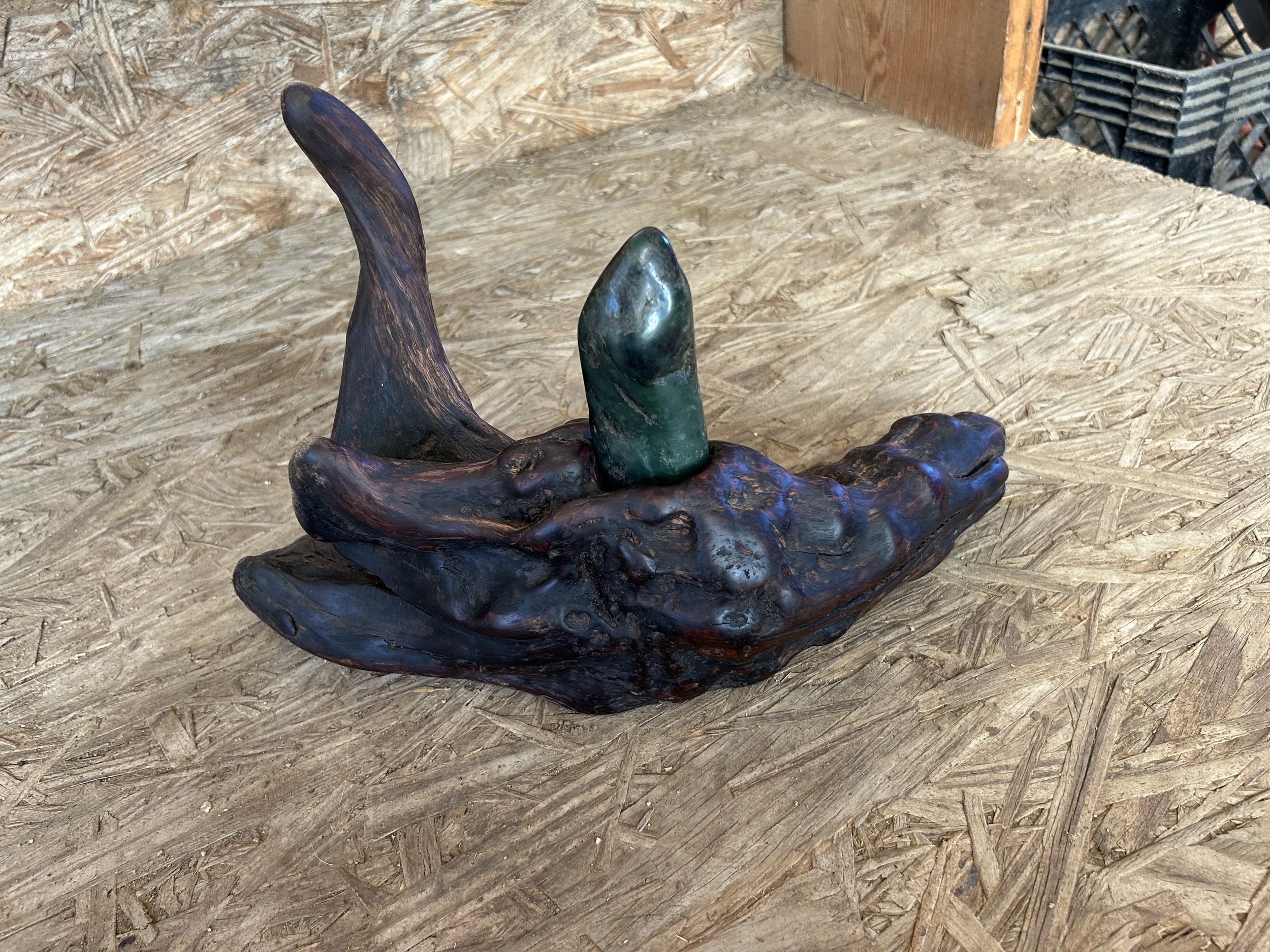 Sea Lion 1.jpg