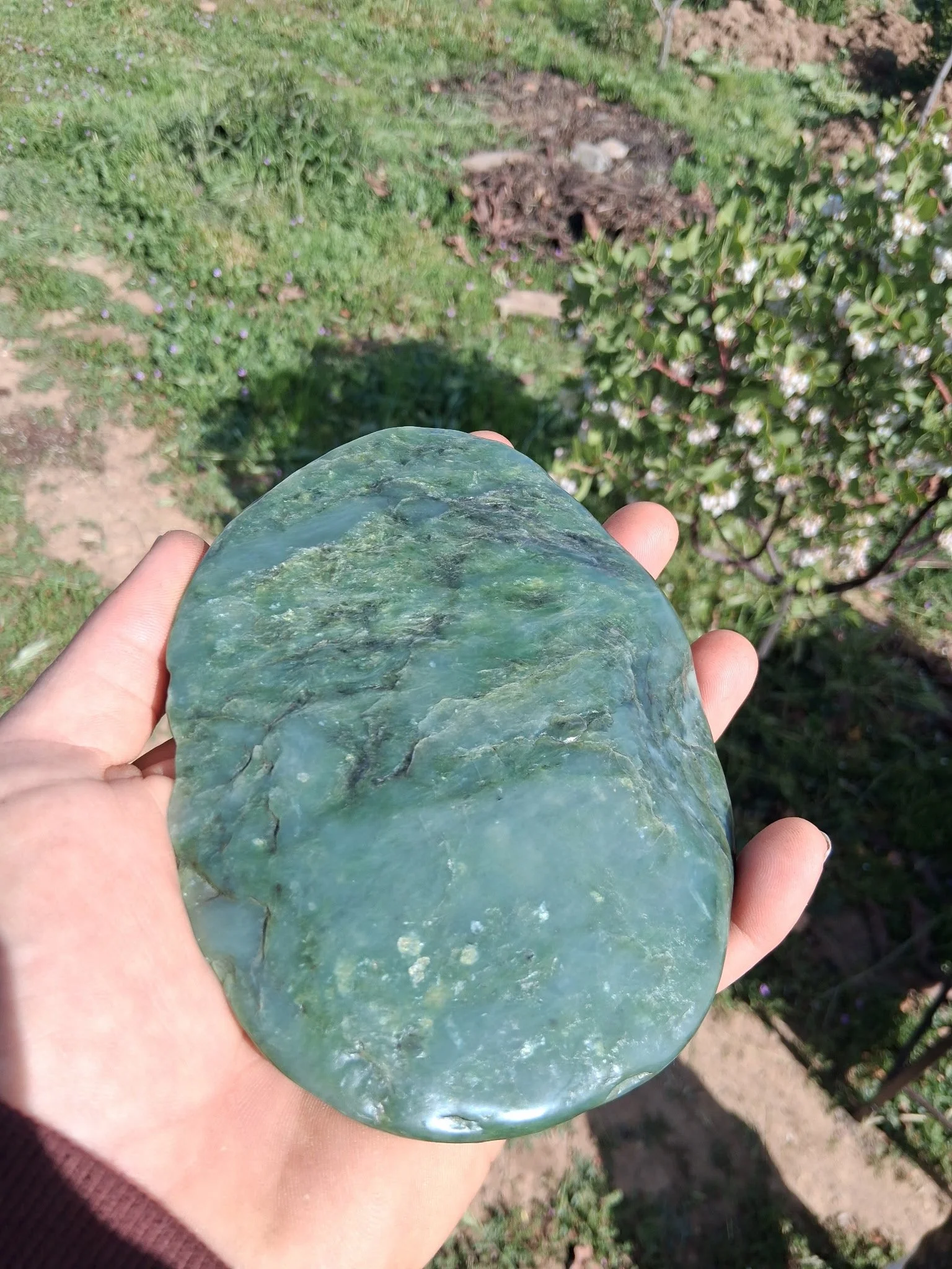 BlueGreen Jade 2.jpg