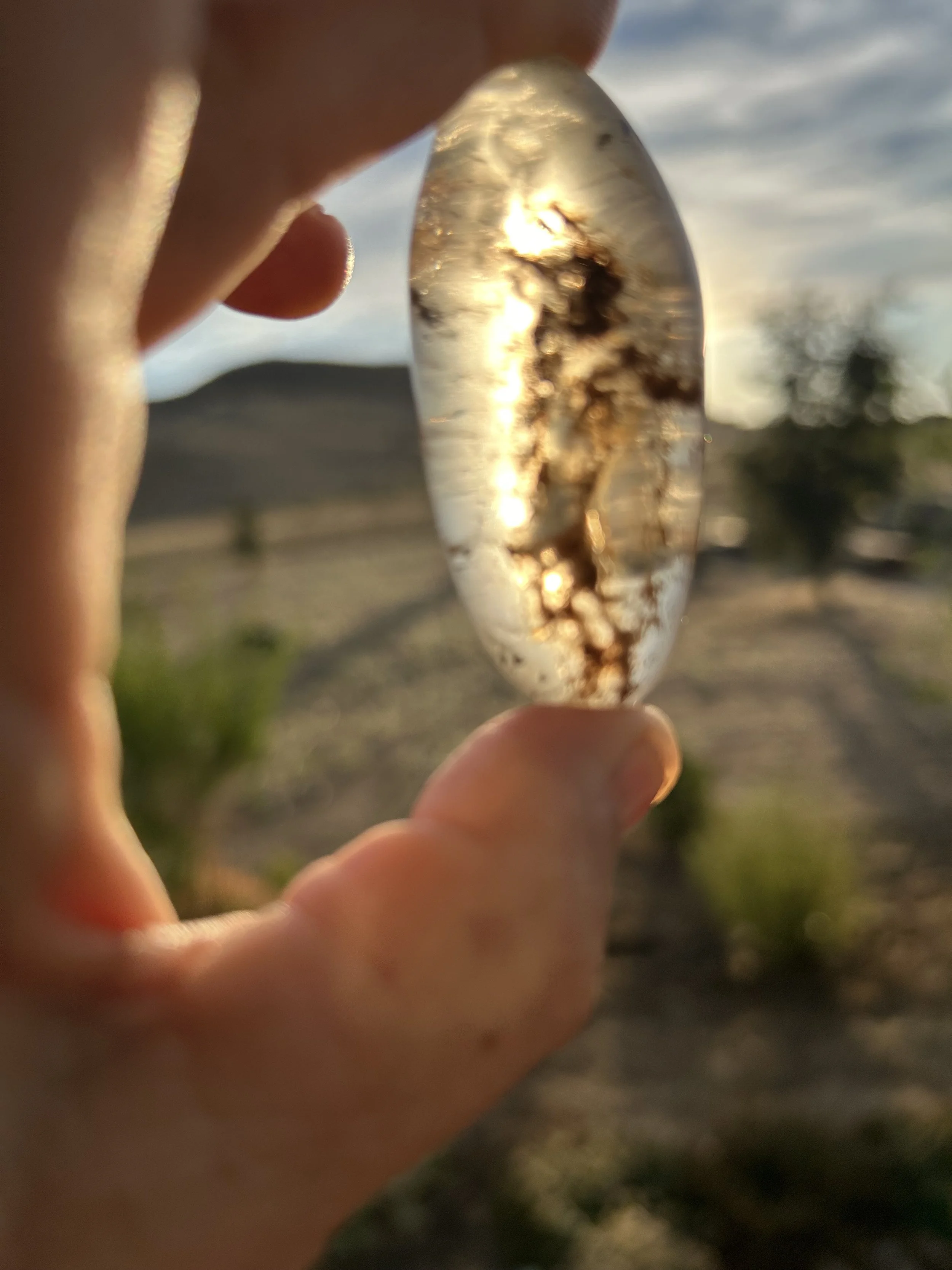 selenite egg.jpg
