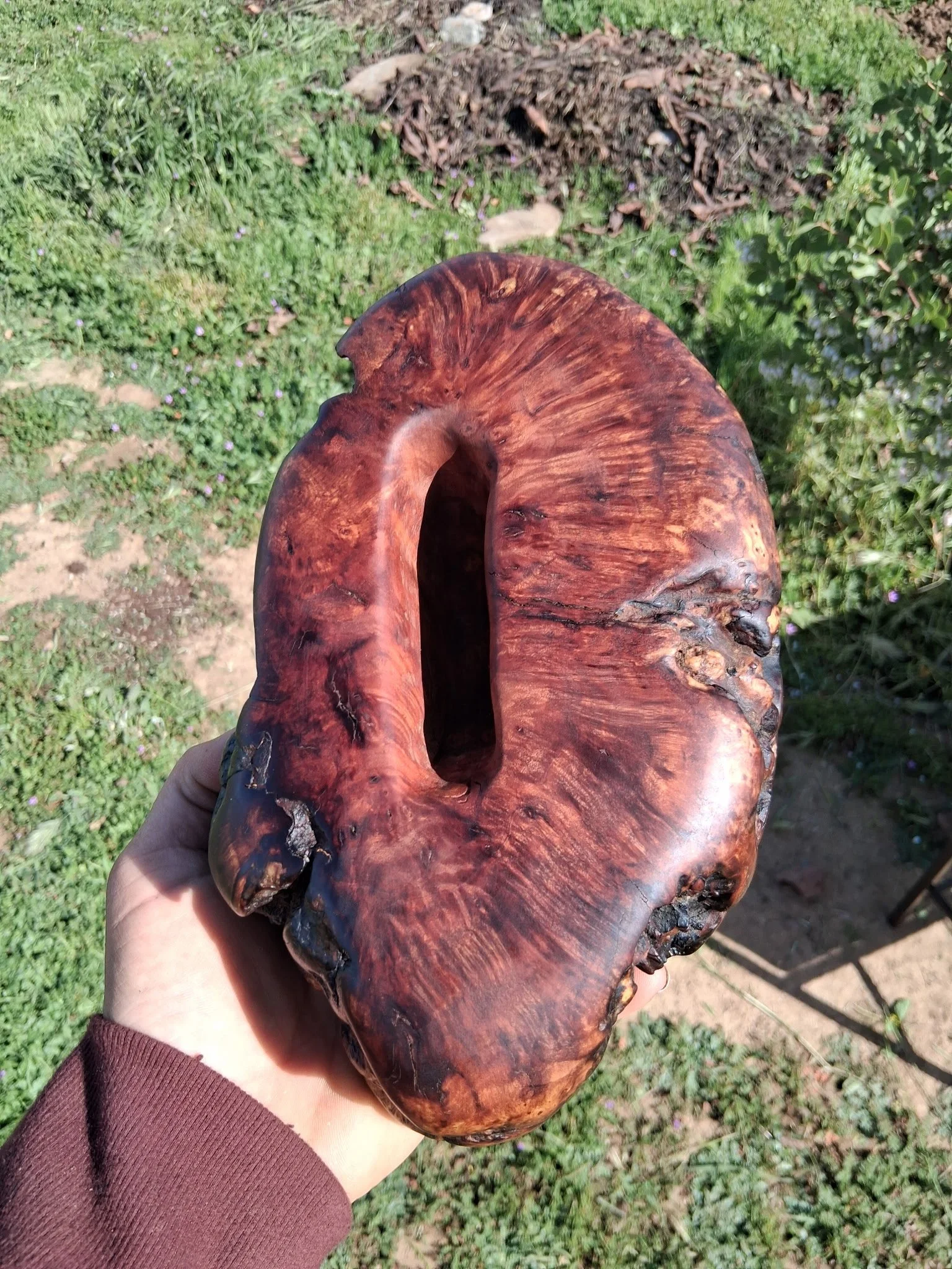 BlueGreen Jade Stand redwood.jpg