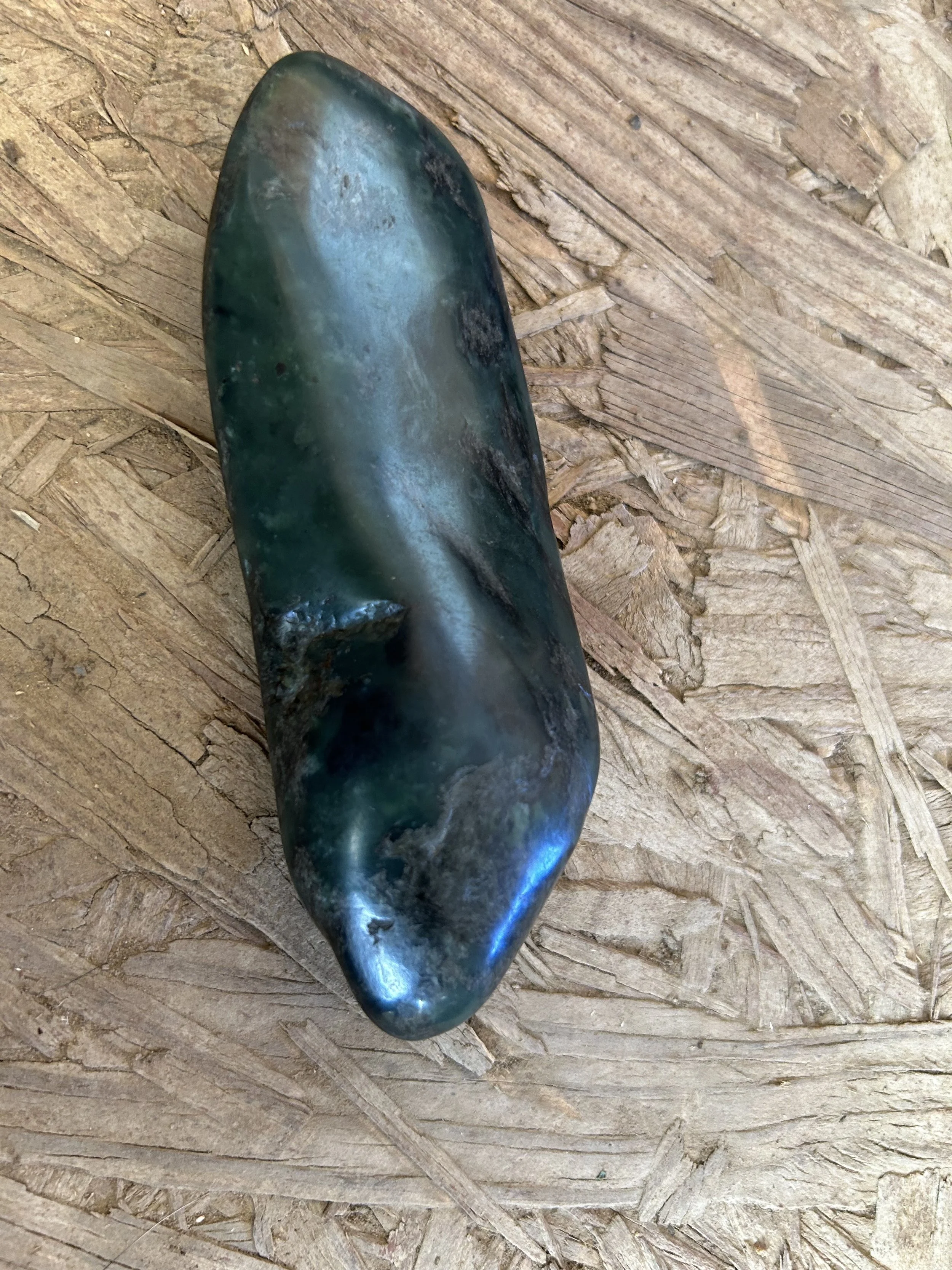 sea lion Jade 1.jpg