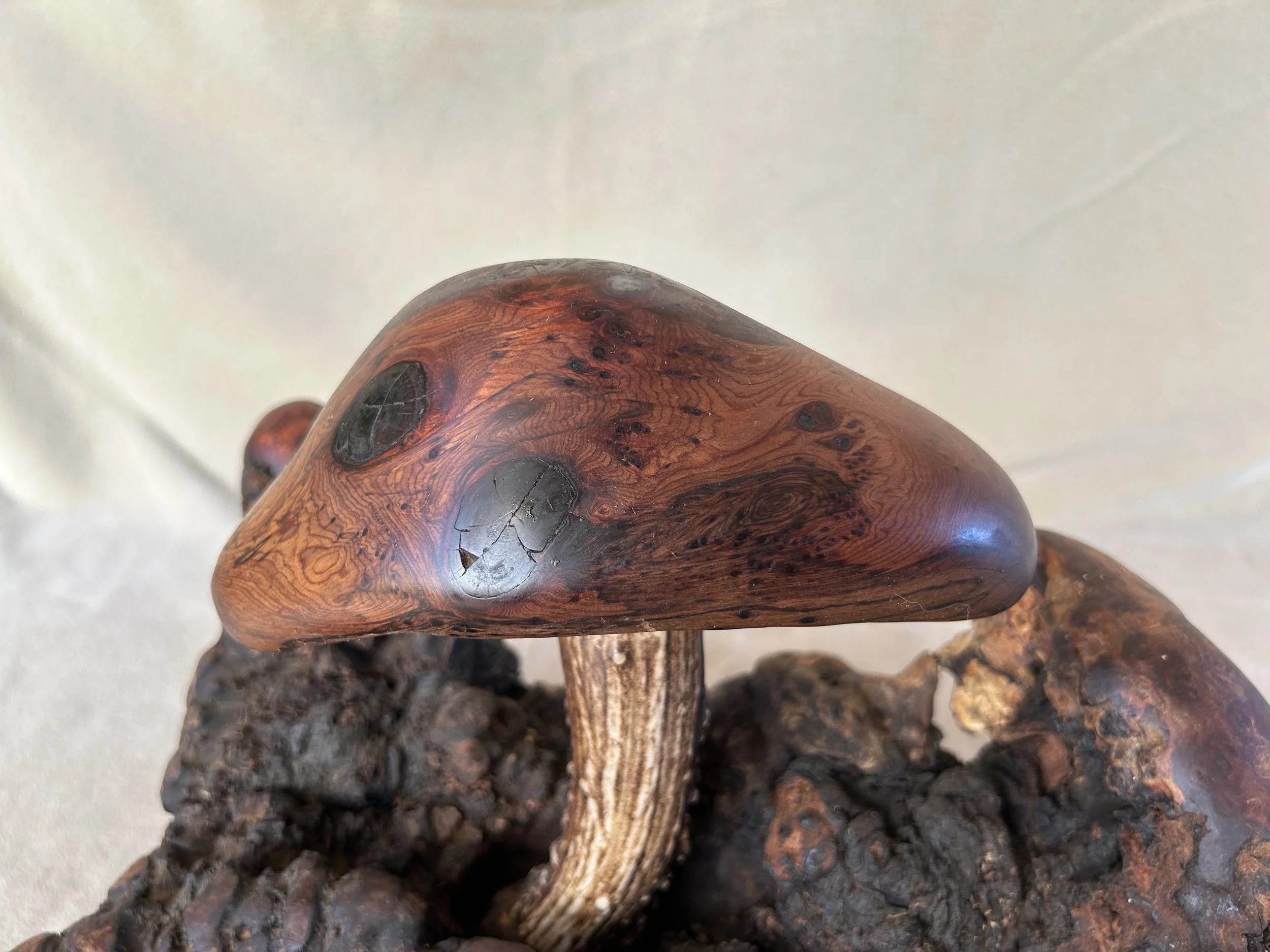 Red Cedar Mush 2.jpg
