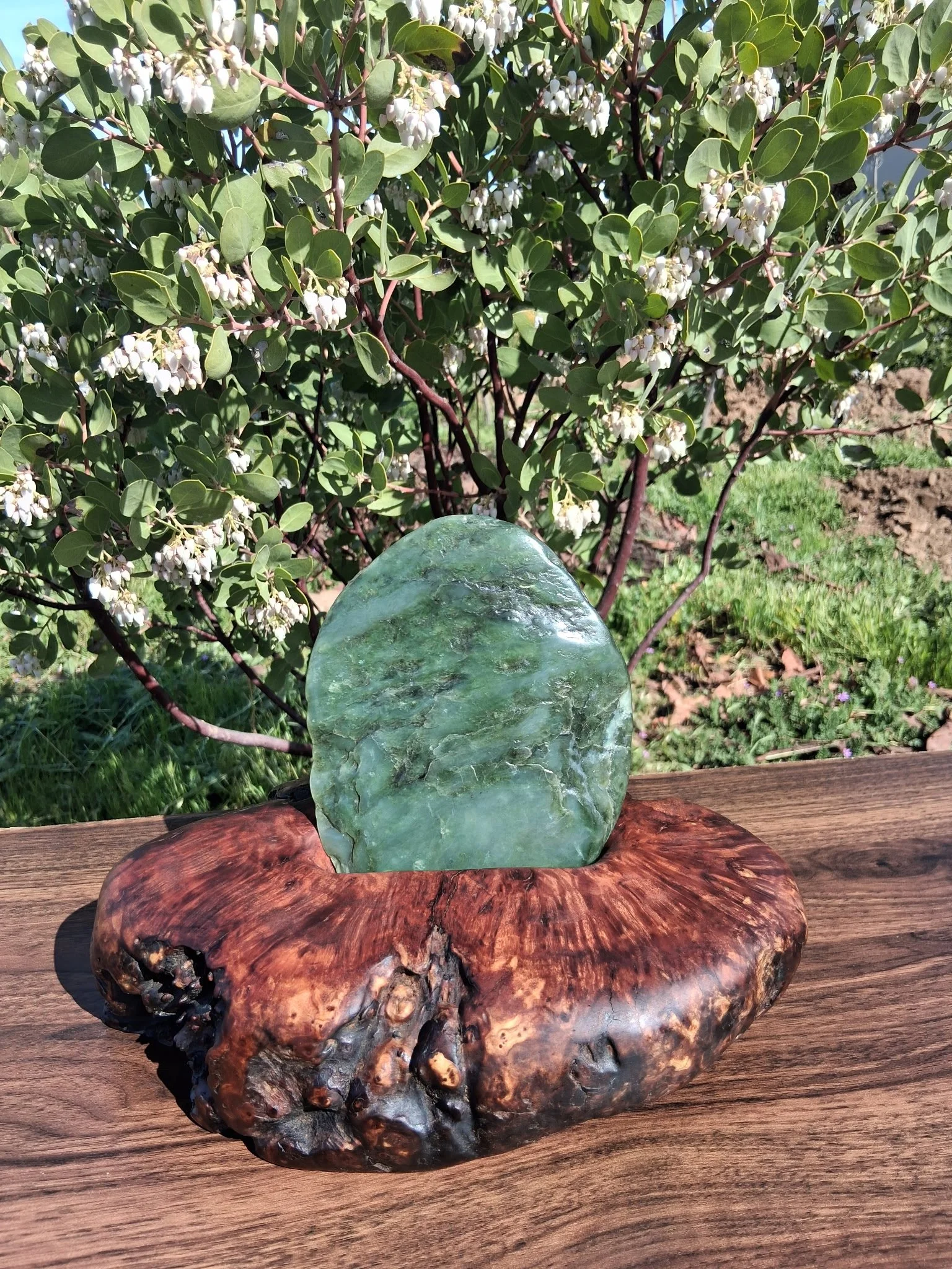 BlueGreen Jade Redwood1.jpg