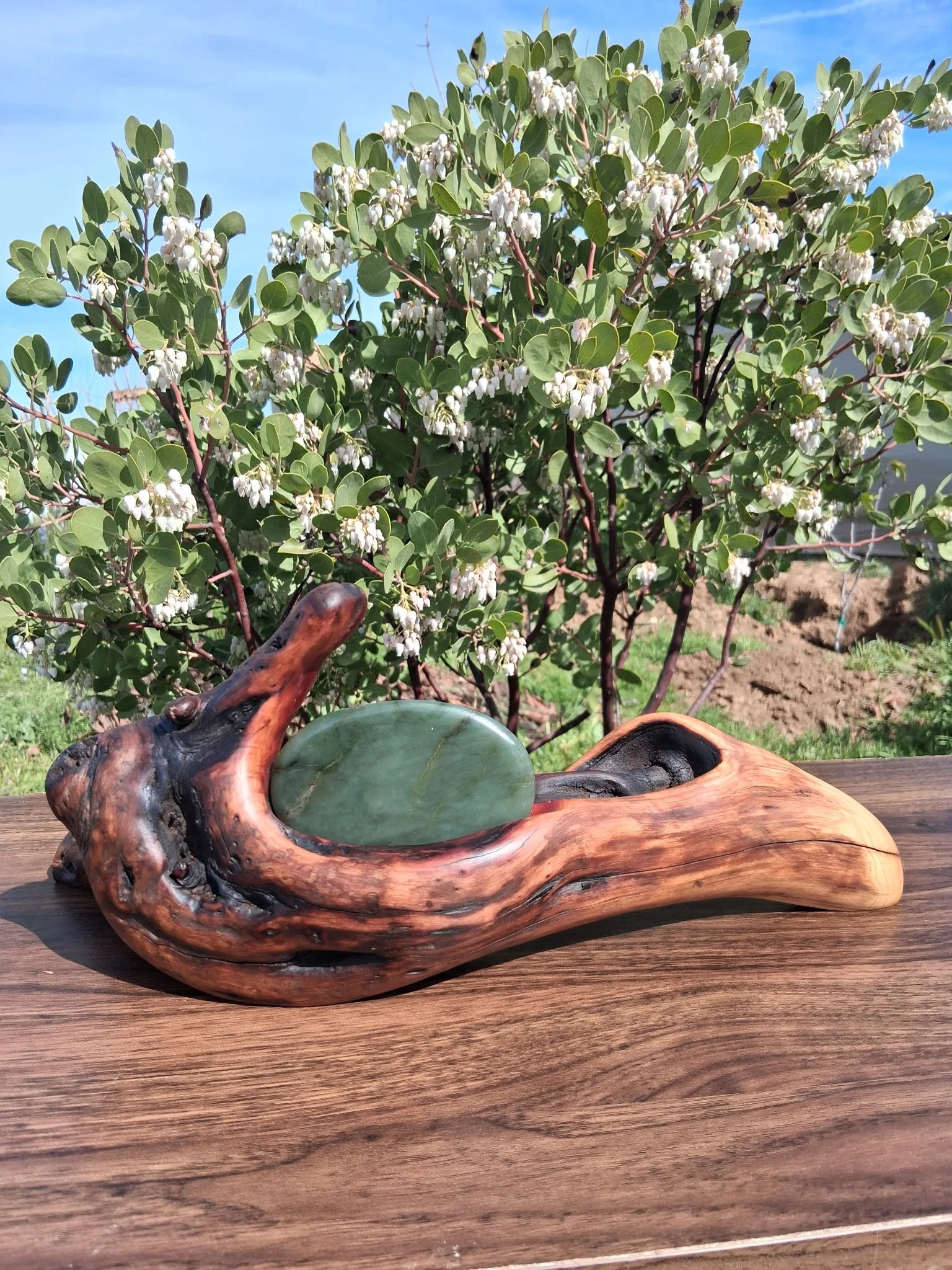 Manzanita Jade1.jpg