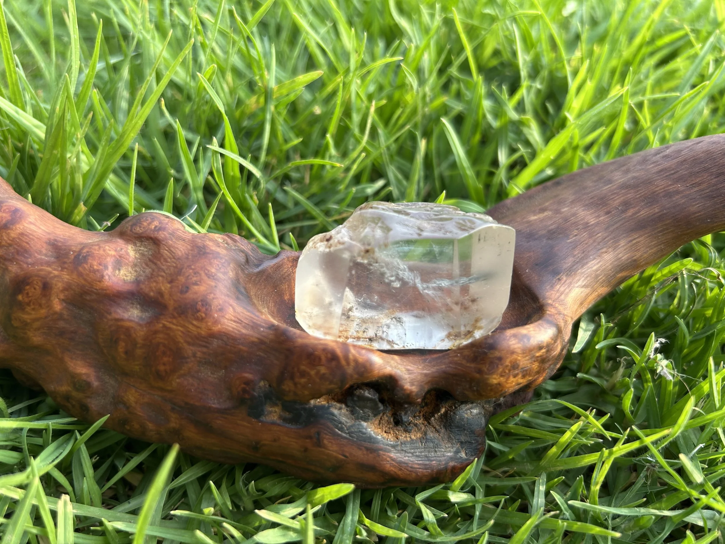 lumpy wood selenite 3.jpg