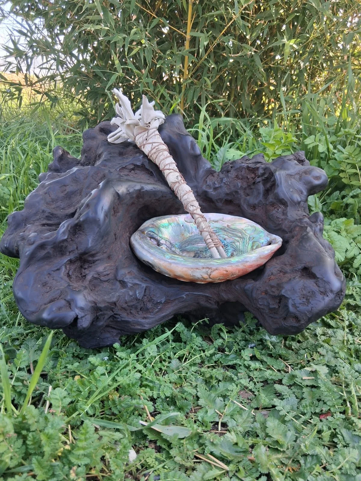 Abalone Redwood stand.jpg