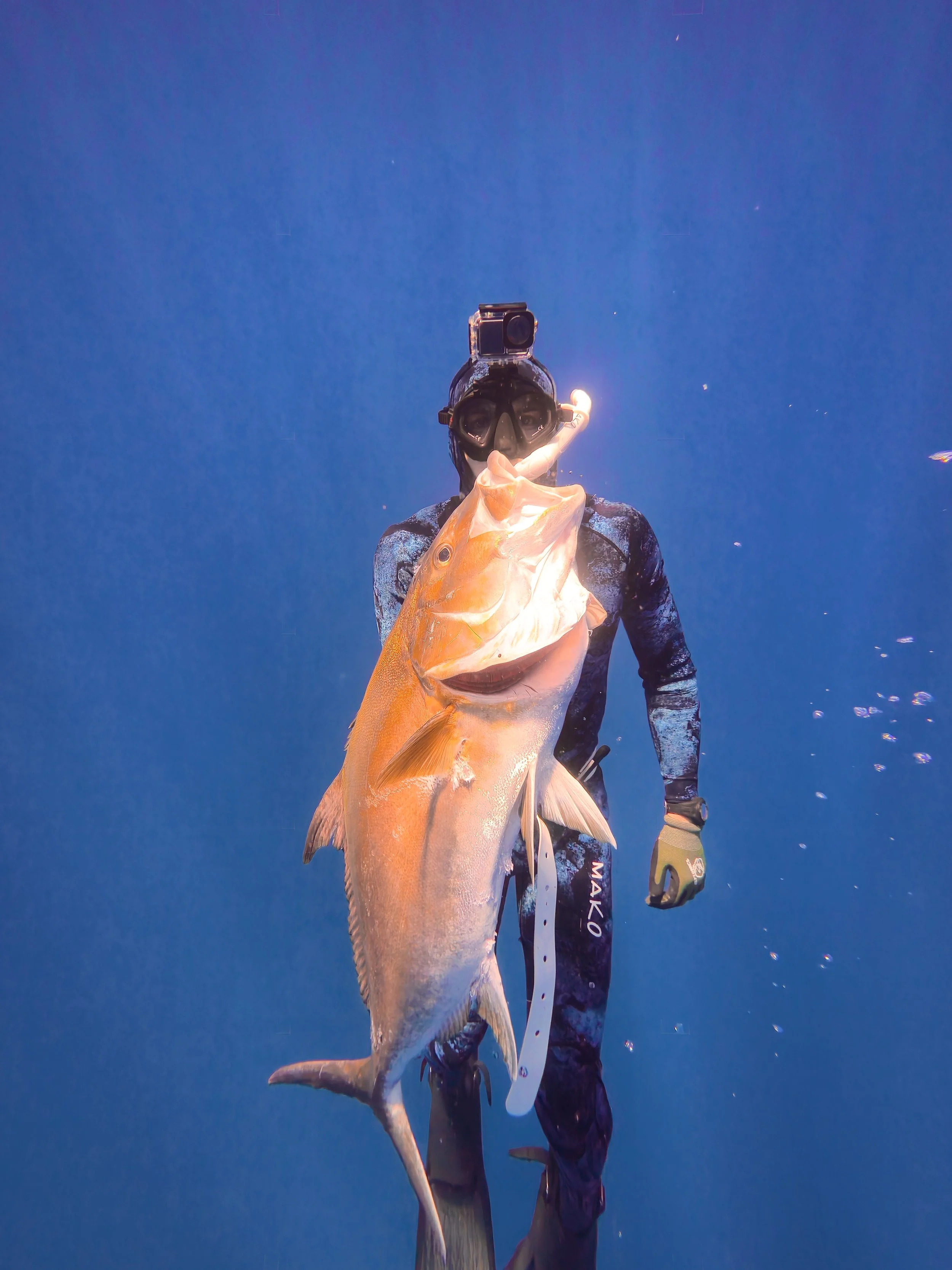 dji_mimo_20260312_133532_20260312123533_1773718048956_photo.jpeg