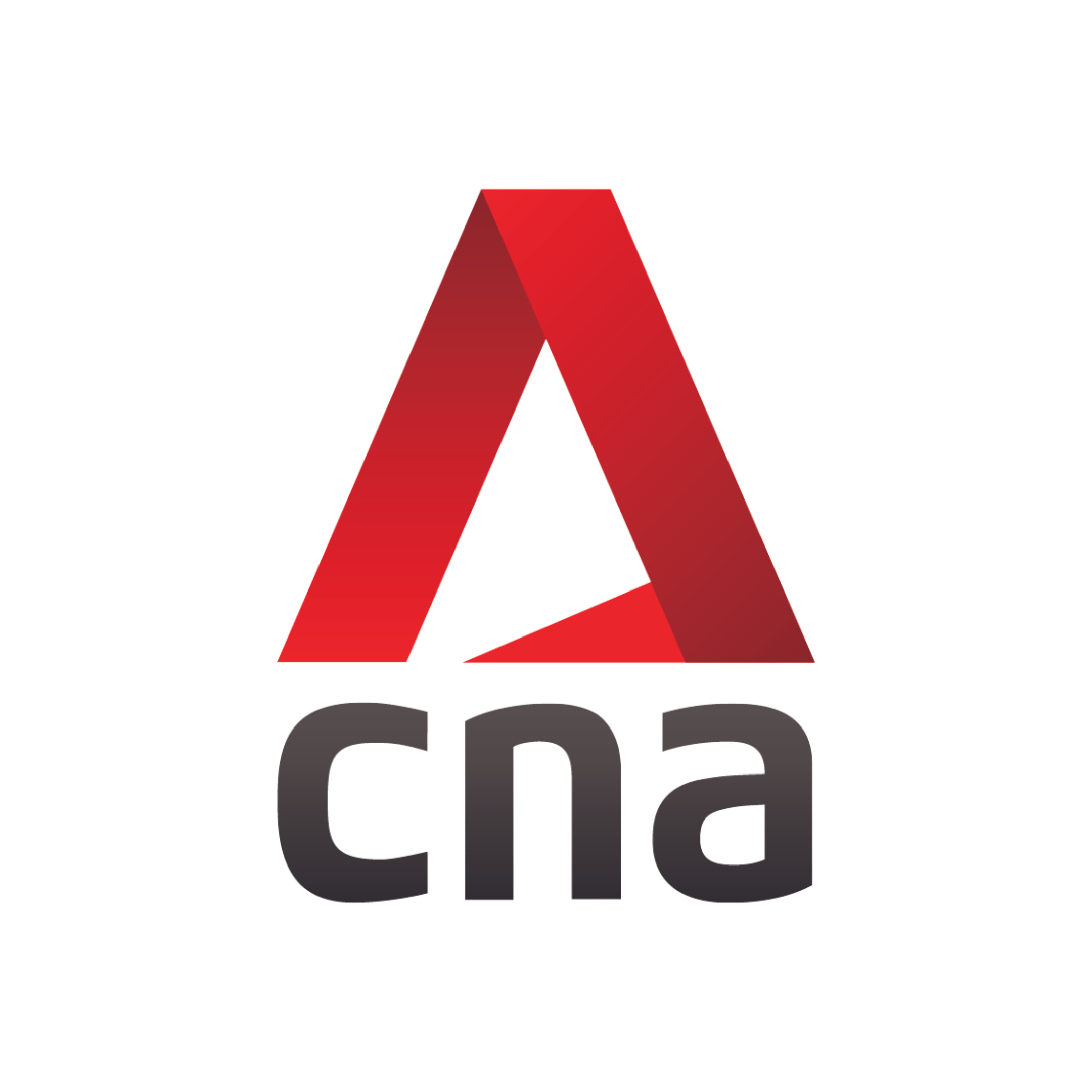 Channel News Asia (CNA)