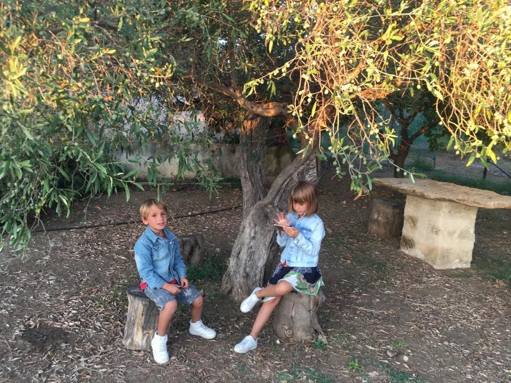Two children, a boy and a girl, sit under a large tree. The boy is on a small wooden stool, looking at the camera. The girl is sitting on a tree stump, looking at a notebook. There is a stone table or bench in the background. They are outdoors in a natural setting with dry leaves on the ground.