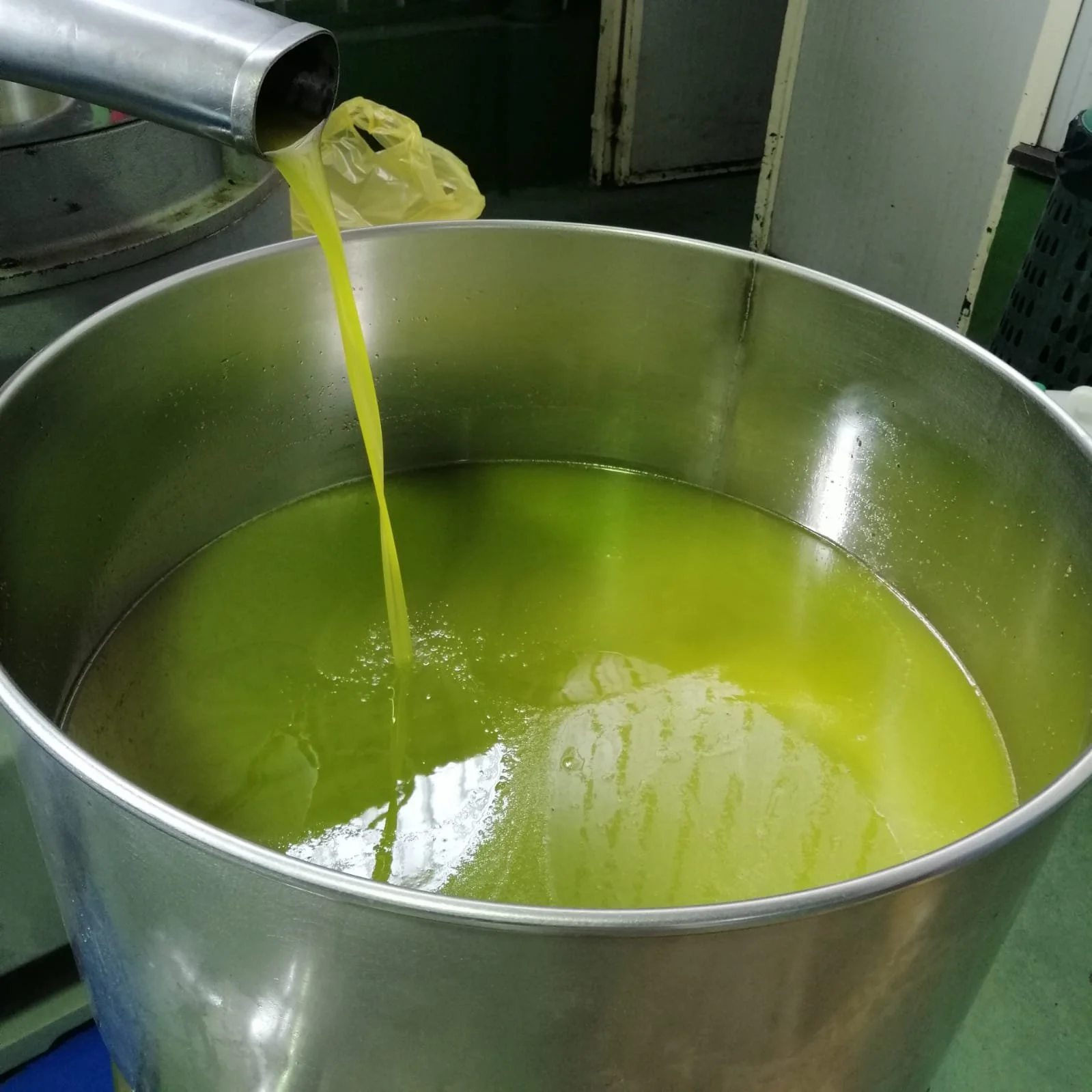 Green oil or liquid being poured into a large stainless steel container, possibly for cooking or industrial use. olive just milled pressed  EVOO oleificio