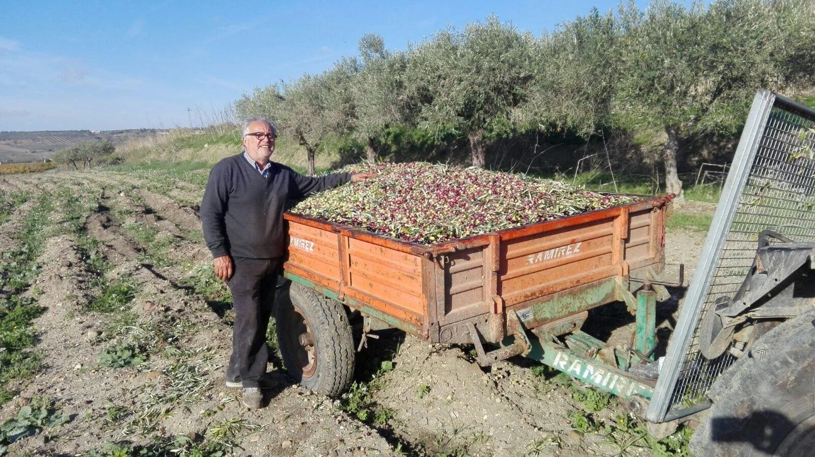 A man standing next to a wooden cart filled with harvested onions in a field with trees and a clear sky. olives harvest ready to be pressed at the local mill oil. Lota's Family Agostino Olive oil EVOO