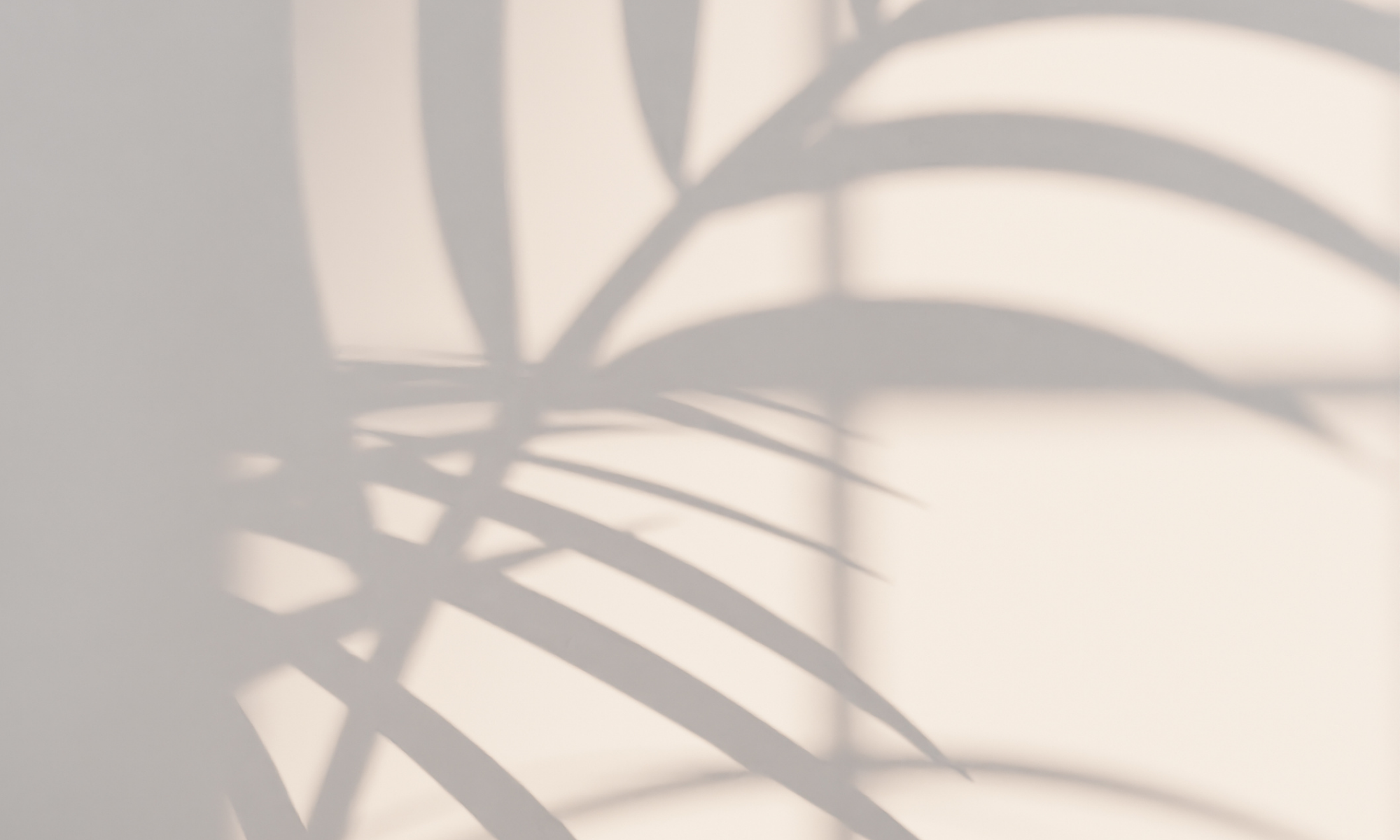 A blurred monstera leaf with a rich burgundy color overlay.