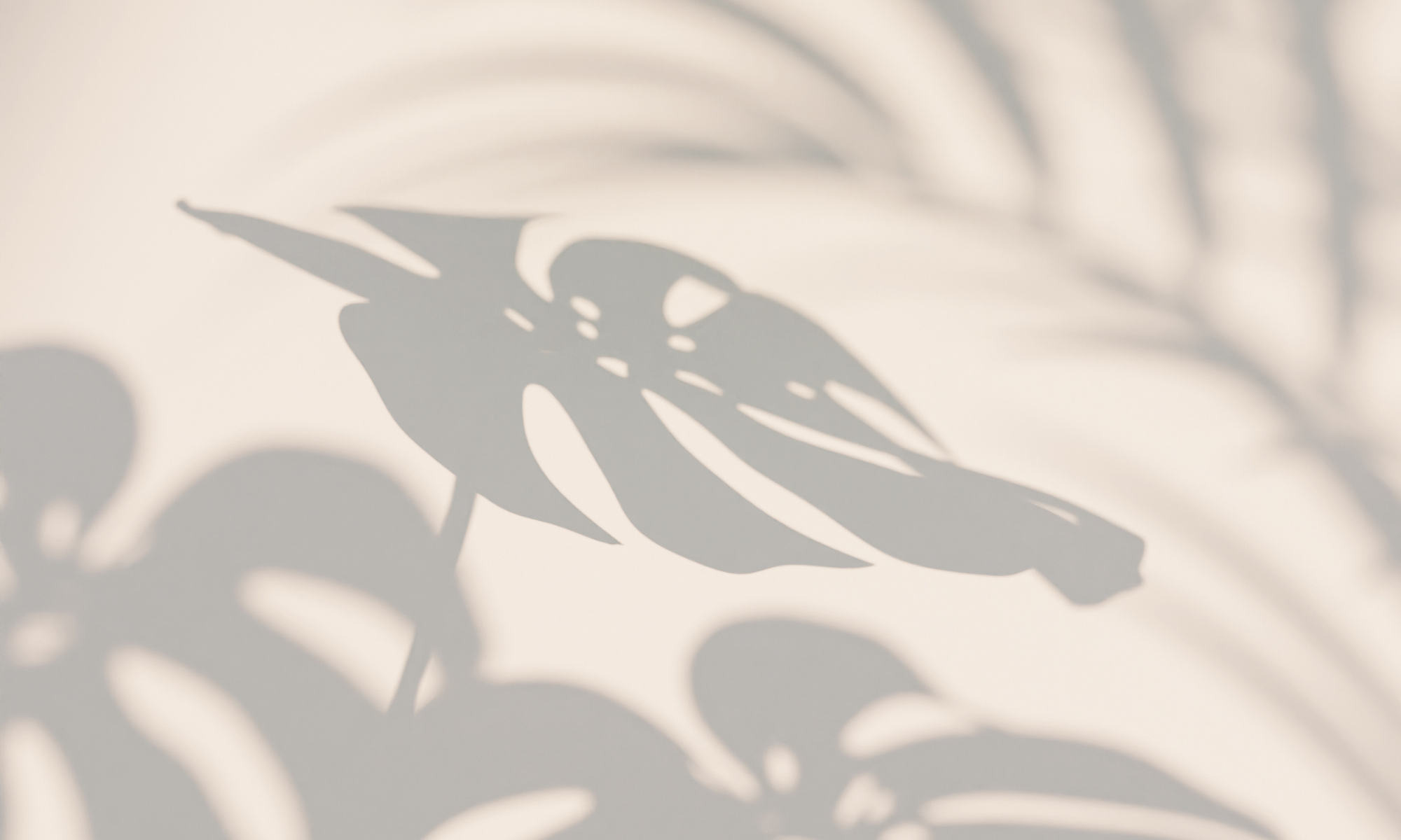 A blurred monstera leaf with a soft greige color overlay.