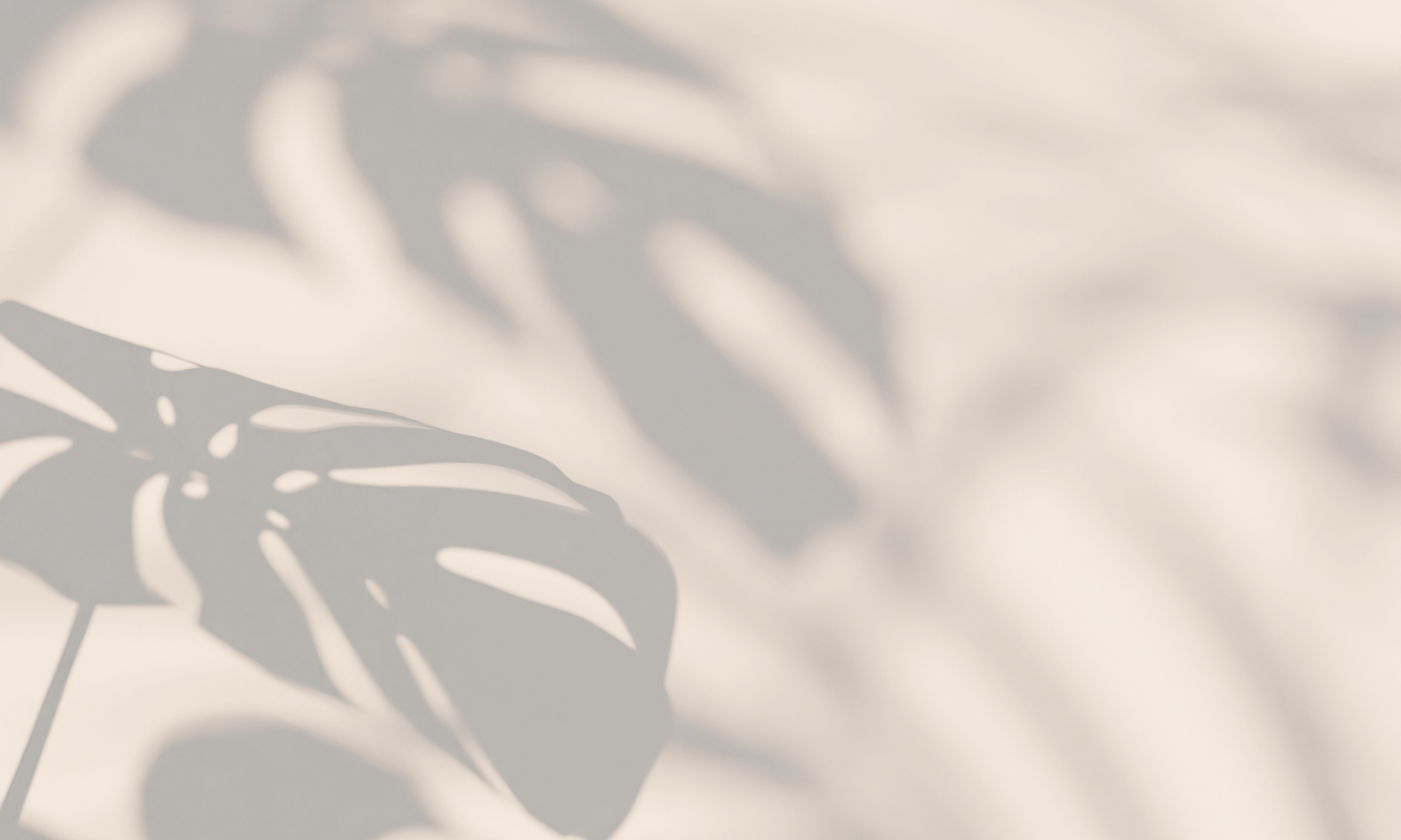A blurred monstera leaf with a rich burgundy color overlay.
