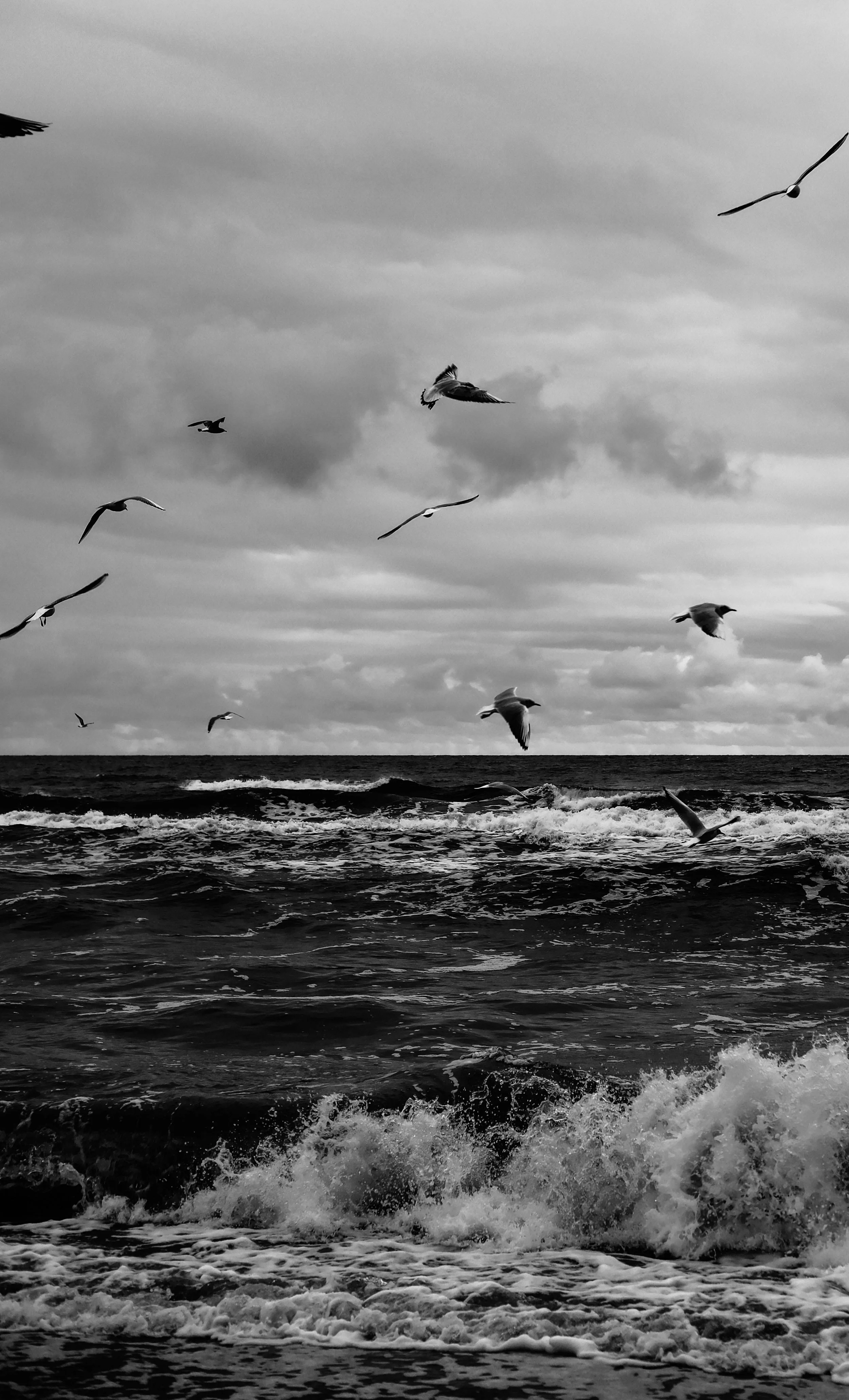 Black and white photograph of rough ocean waves with seabirds soaring overhead, symbolizing navigating emotional turmoil and finding freedom in trauma recovery.