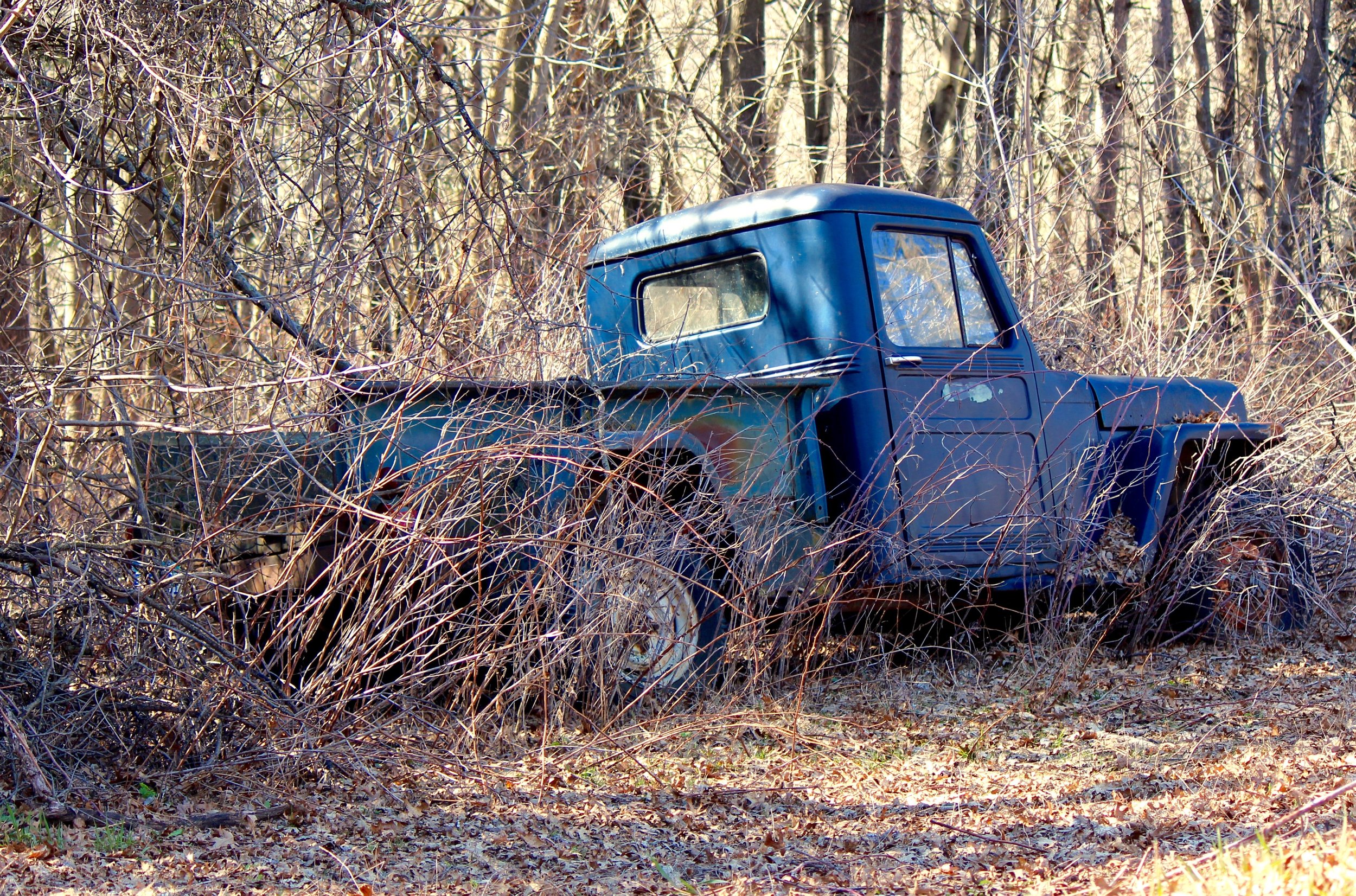 IMG_8169.jpg