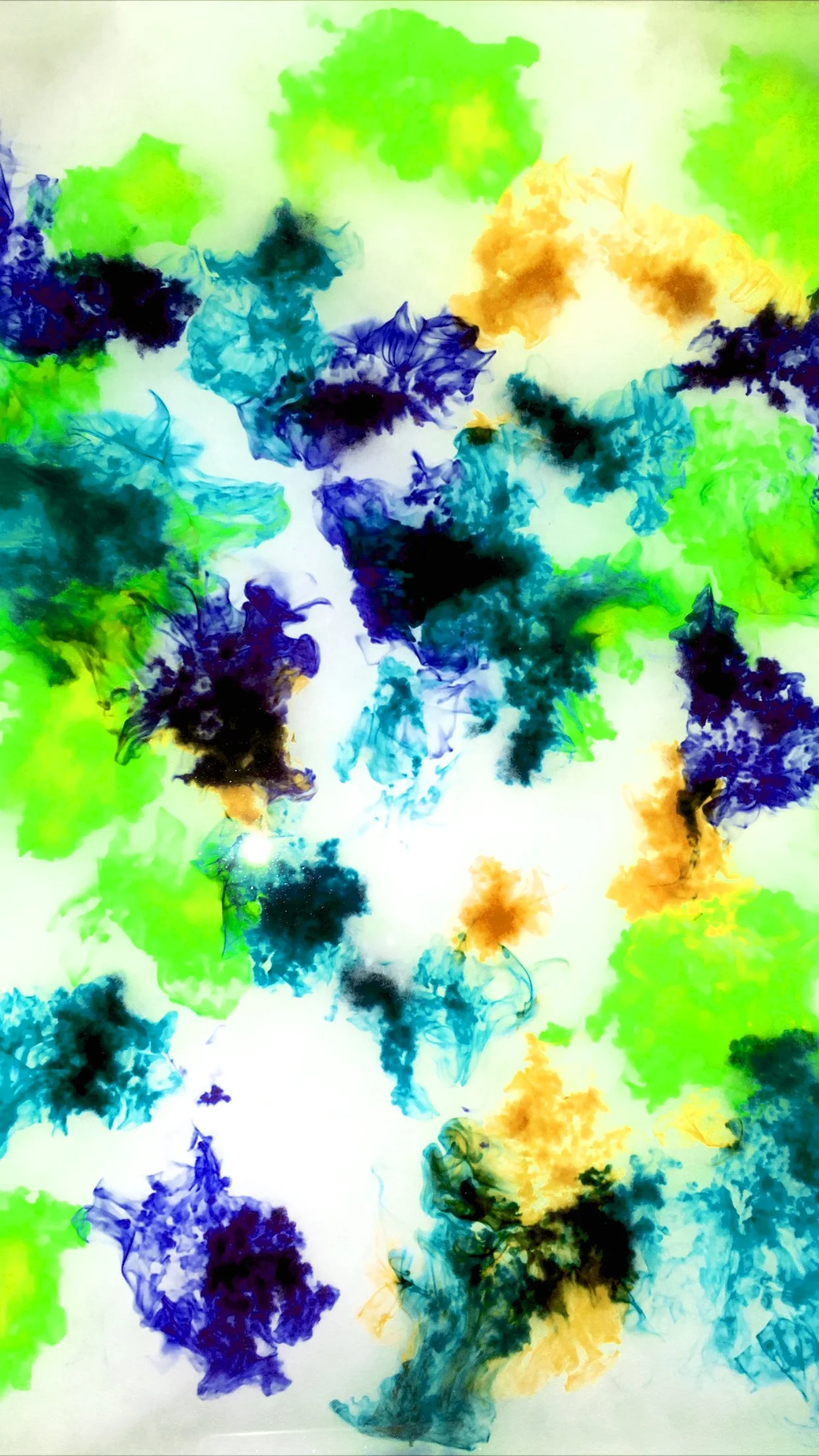E69B8003-7EB7-4446-97BB-9ADC30A6ED43.JPG