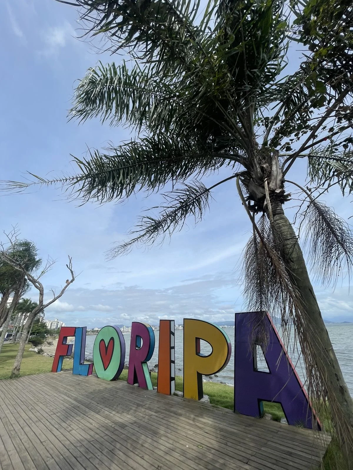 florianopolis cartel.jpg