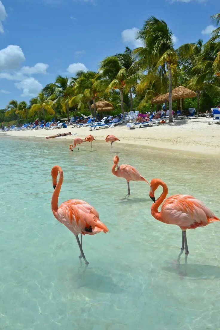 cancun 6.webp