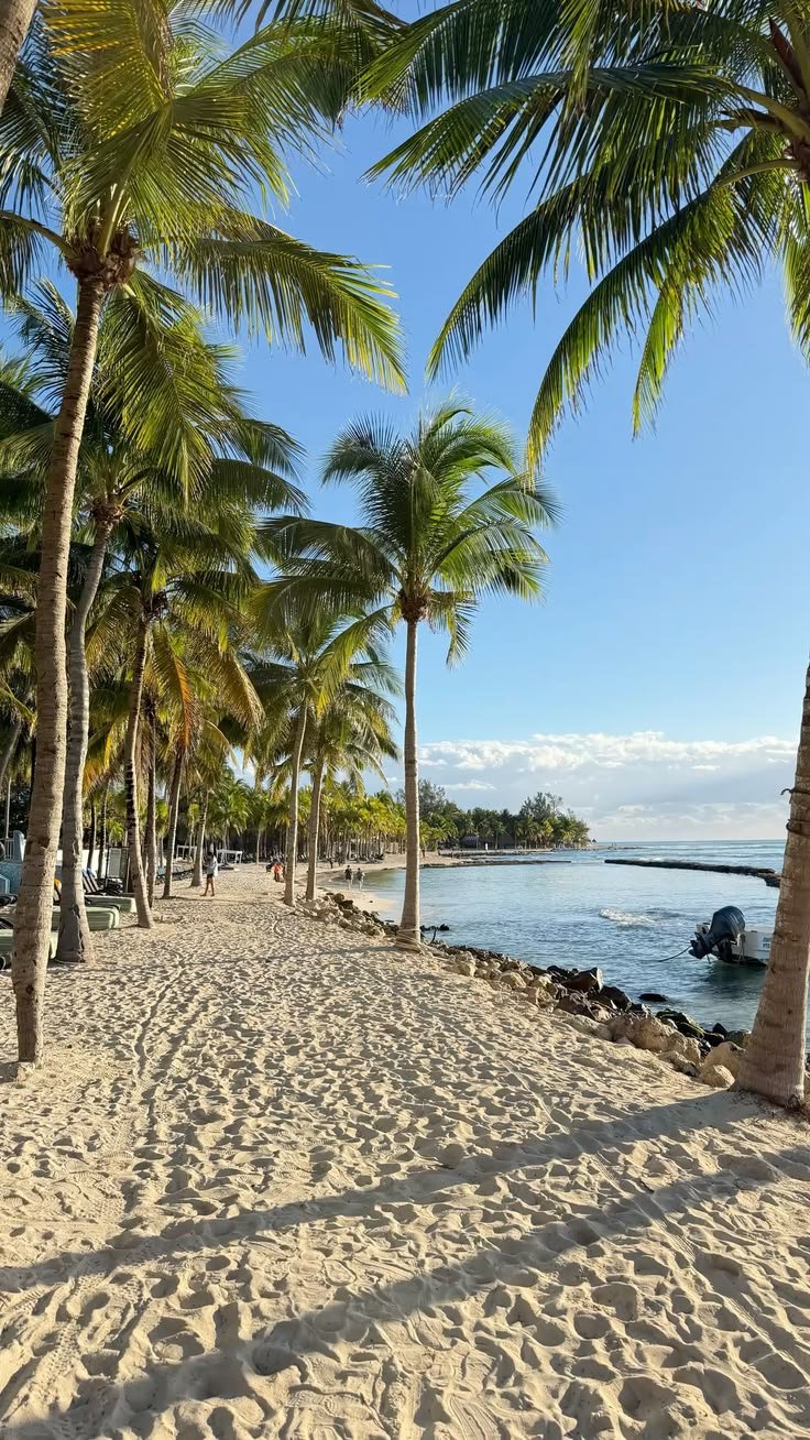 playa del carmen 0.jpg